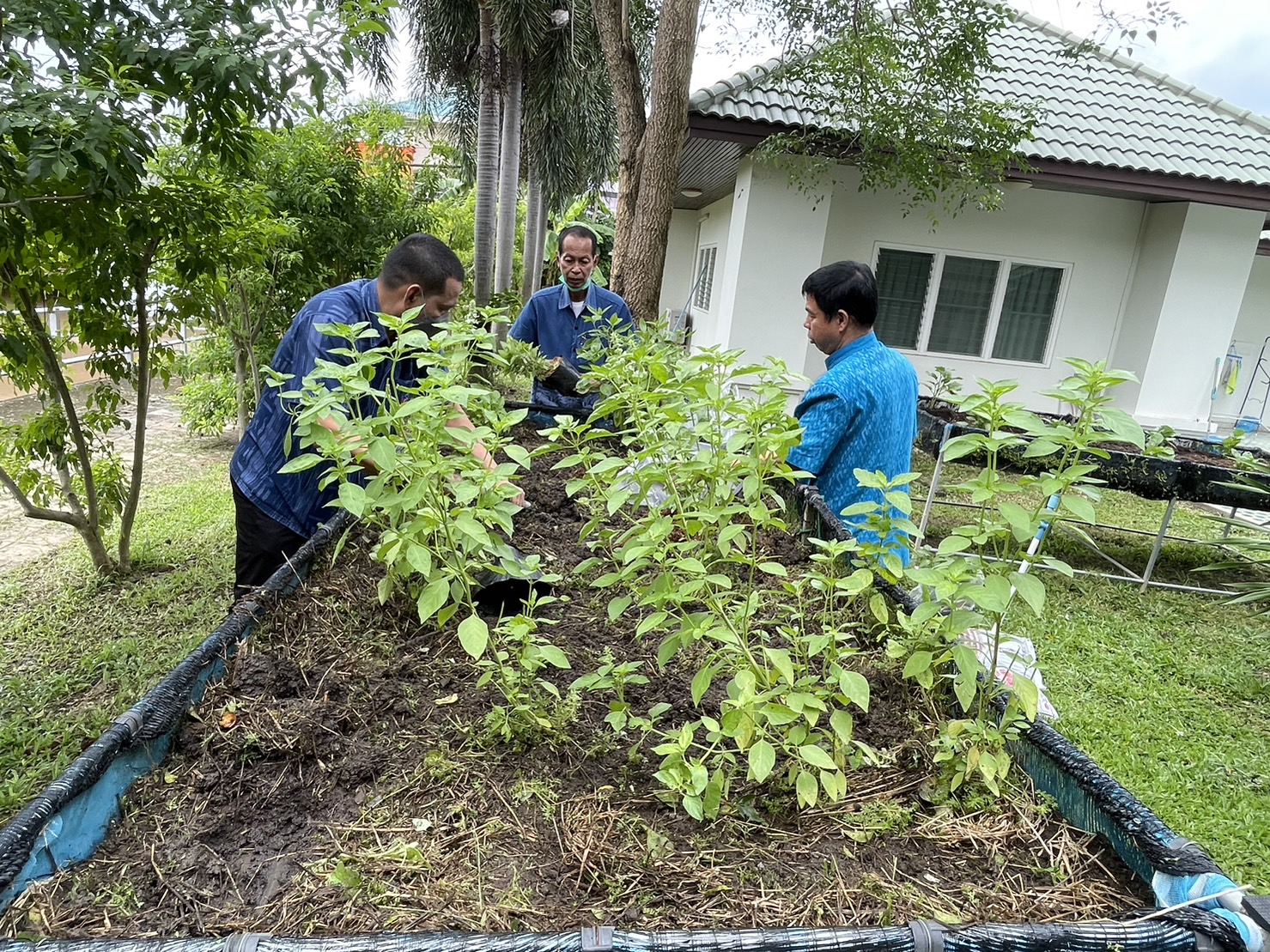 พช.ลงพื้นที่ปรับปรุง “ที่ว่างสร้างอาหาร” ณ จวนผู้ว่าราชการจังหวัดนครนายก
