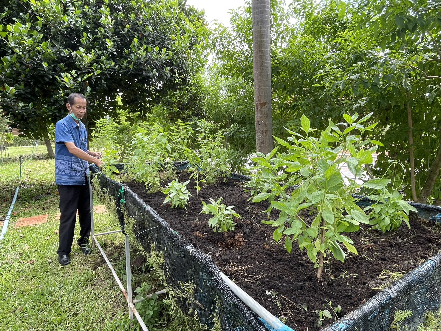 พช.ลงพื้นที่ปรับปรุง “ที่ว่างสร้างอาหาร” ณ จวนผู้ว่าราชการจังหวัดนครนายก