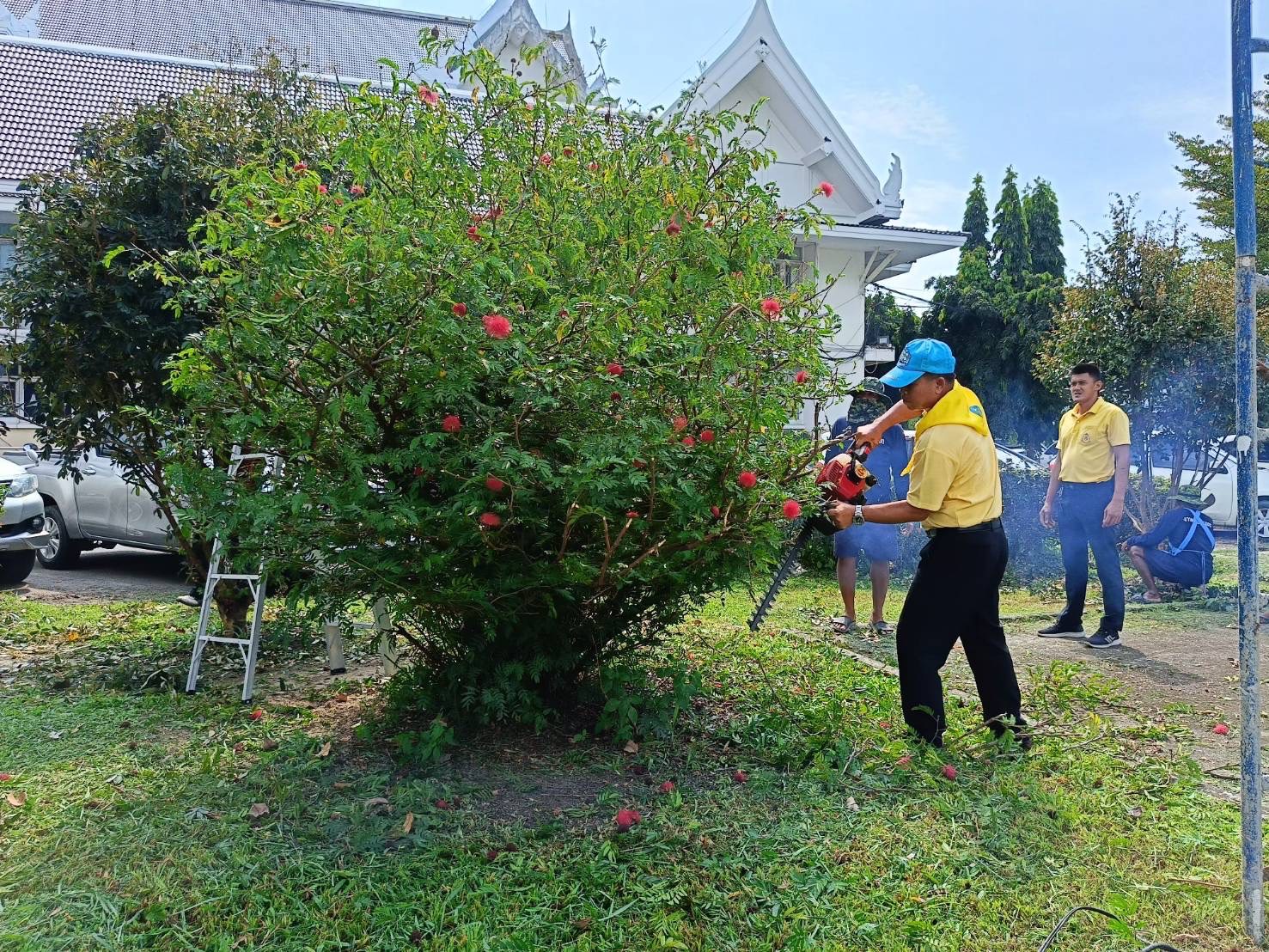 …พช.นครนายก ร่วมกิจกรรมจิตอาสาเพื่อปรับปรุงภูมิทัศน์บริเวณศาลากลางจังหวัดนครนายก