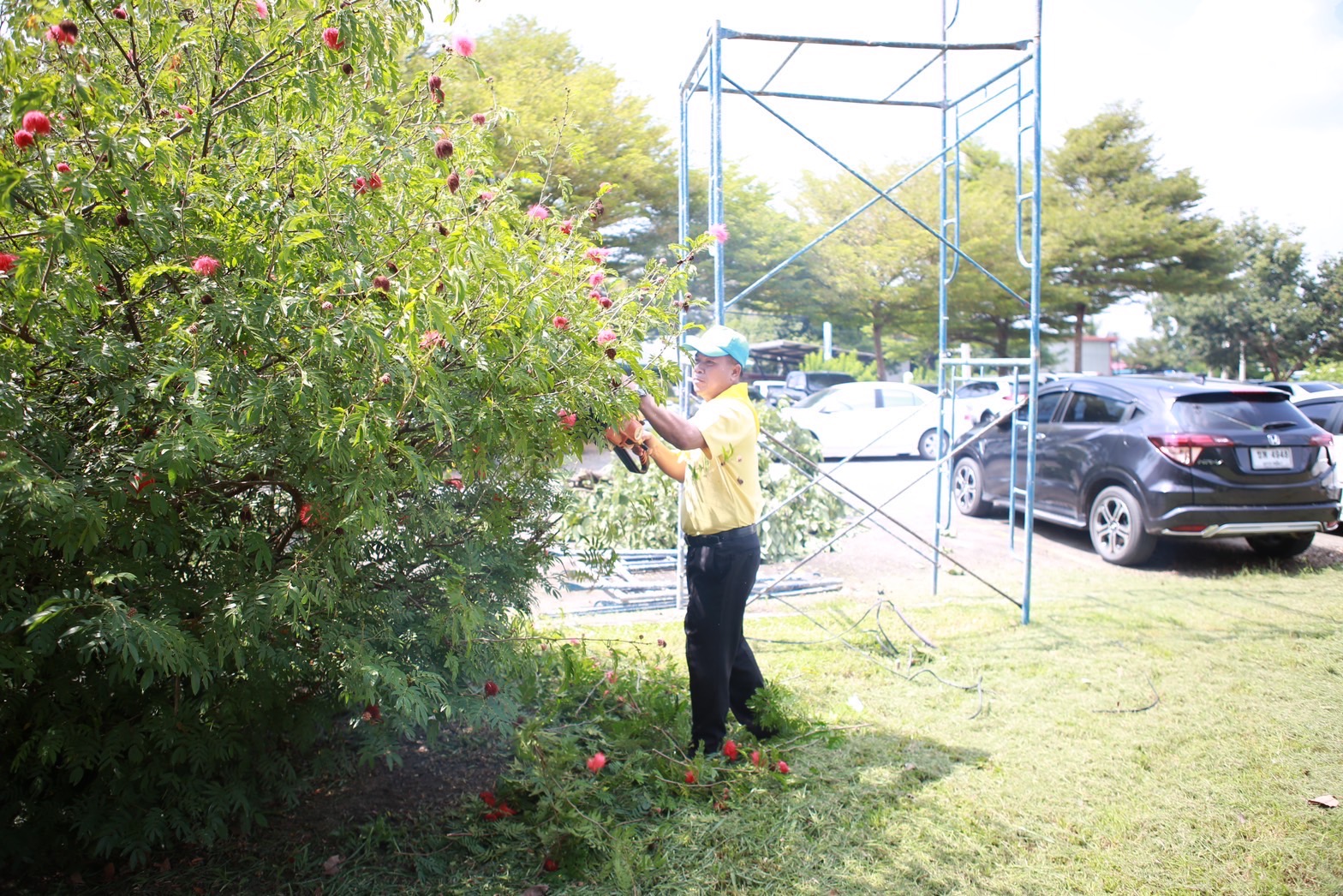 …พช.นครนายก ร่วมกิจกรรมจิตอาสาเพื่อปรับปรุงภูมิทัศน์บริเวณศาลากลางจังหวัดนครนายก