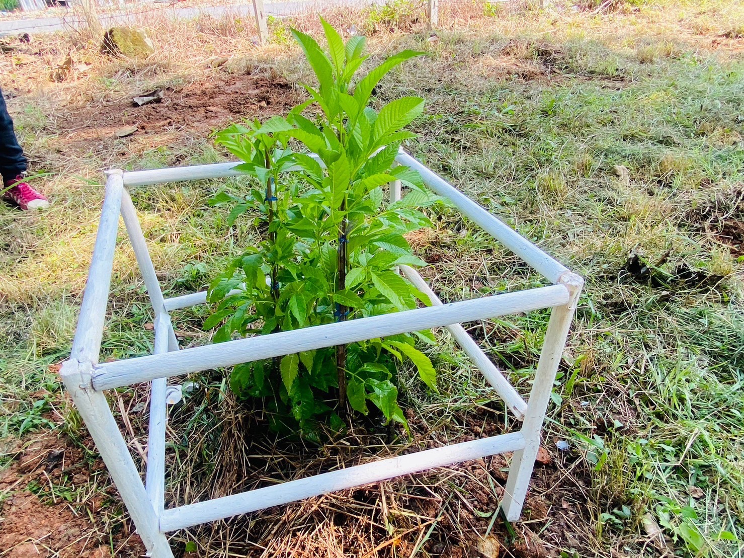 …พช.นครนายก ร่วมกิจกรรมจิตอาสาพัฒนาศาสนสถาน เนื่องในโอกาสวันคล้ายวันสวรรคตพระบาทสมเด็จพระจุลจอมเกล้าเจ้าอยู่หัว