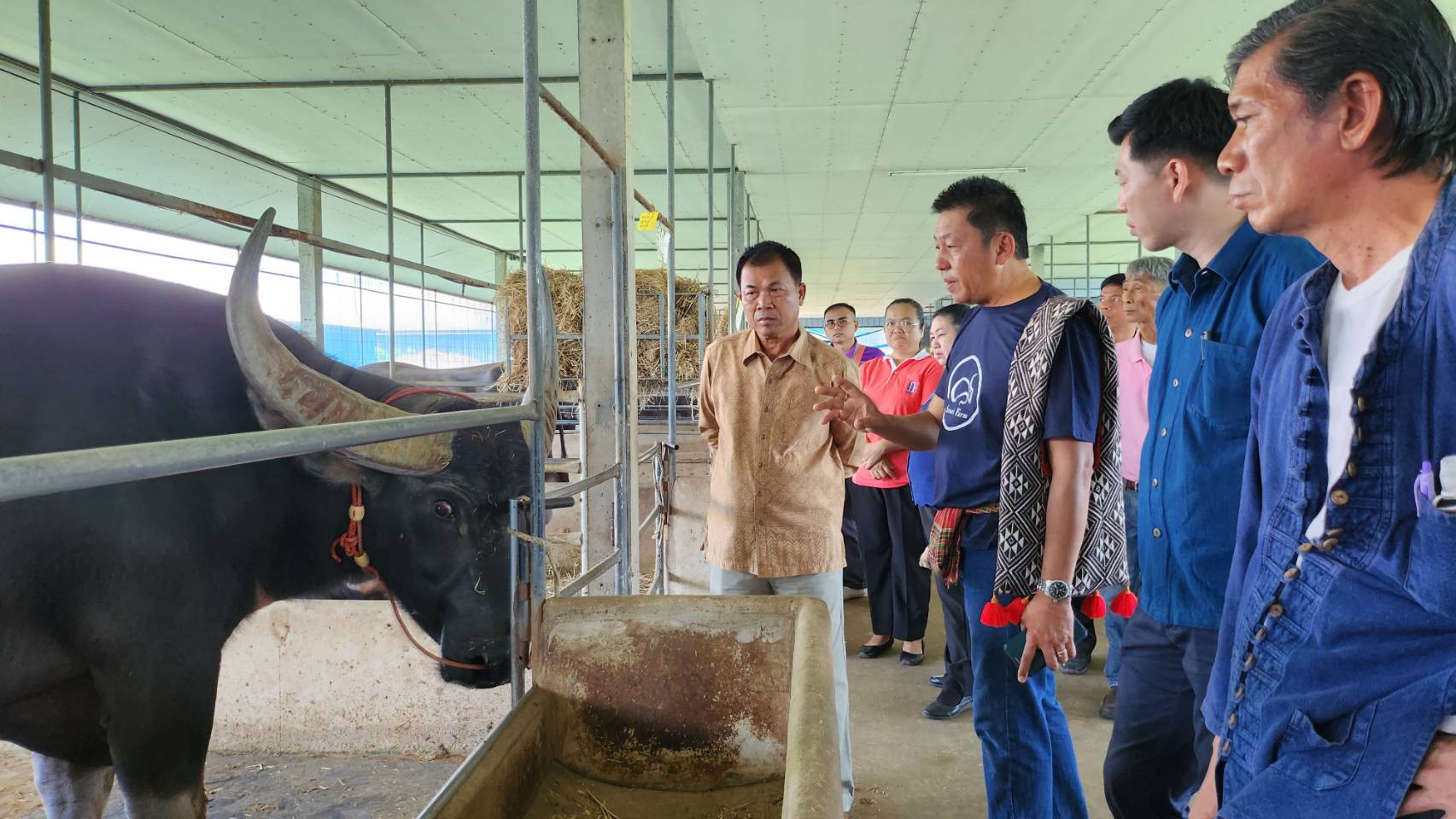 …พช.นครนายก นำทีม เข้าศึกษาดูงานแหล่งเรียนรู้และอนุรักษ์ควายไทย “สอนศิริฟาร์ม” อ.บ้านสร้าง จ.ปราจีนบุรี