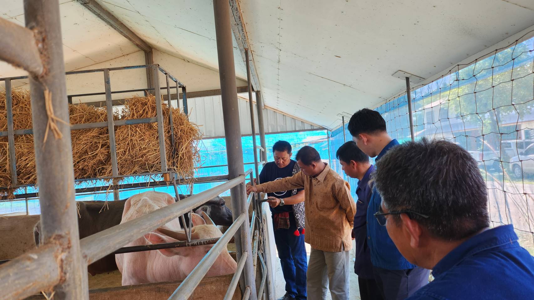 …พช.นครนายก นำทีม เข้าศึกษาดูงานแหล่งเรียนรู้และอนุรักษ์ควายไทย “สอนศิริฟาร์ม” อ.บ้านสร้าง จ.ปราจีนบุรี