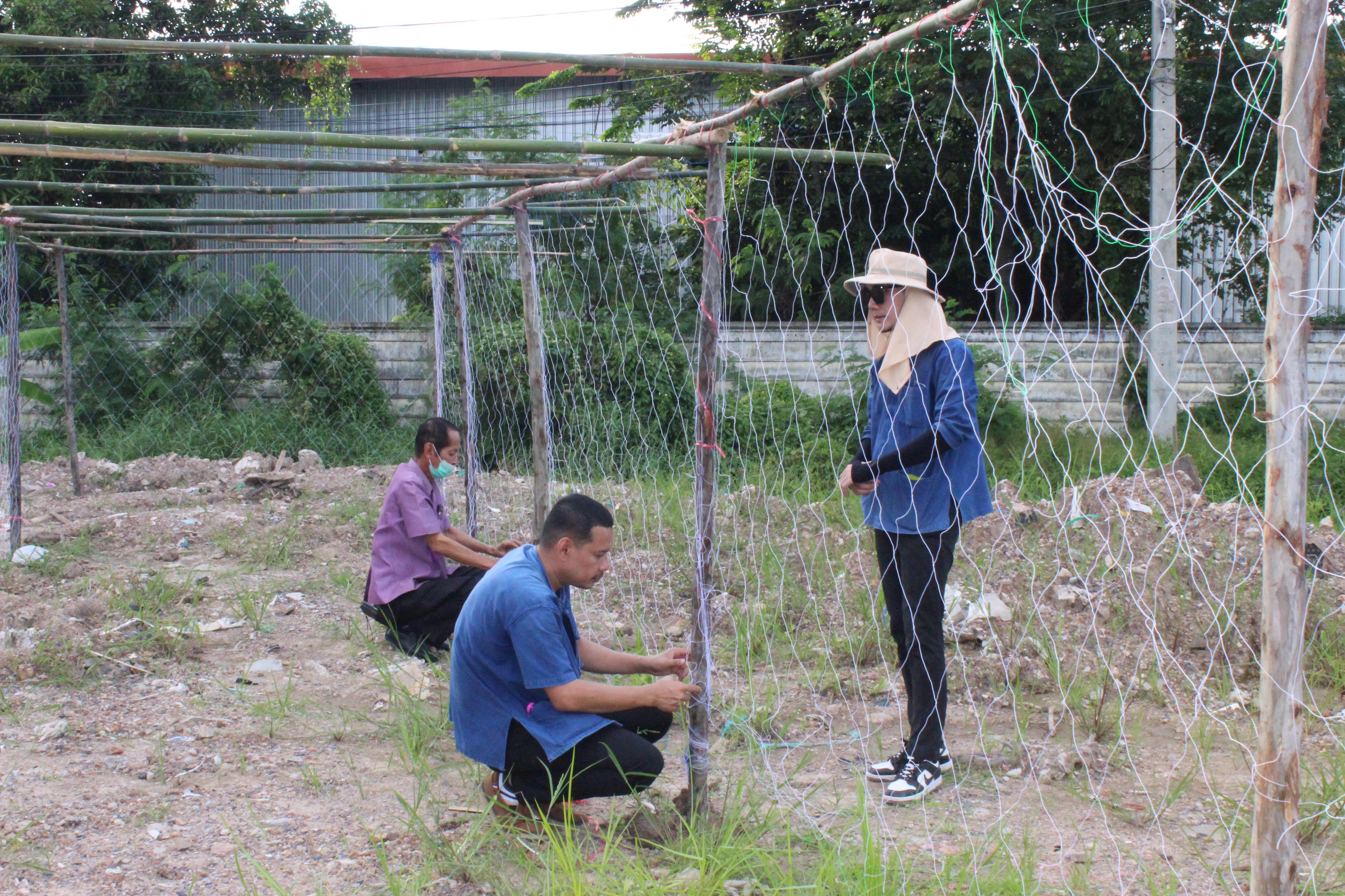 …พช.นครนายก ร่วมกิจกรรมเตรียมแปลง “สตรีปลูกผัก ปลูกรัก กับ พช.”