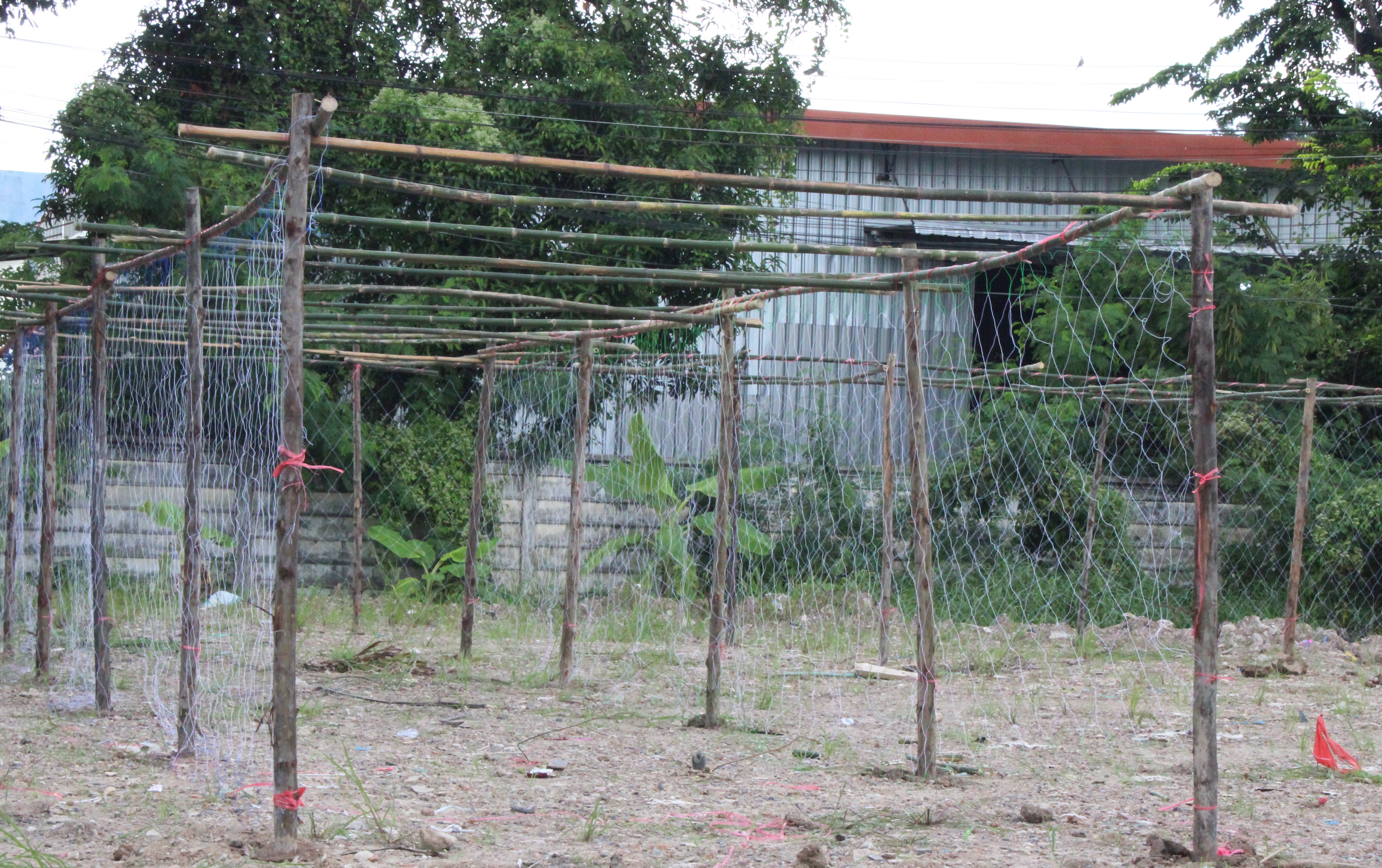 …พช.นครนายก ร่วมกิจกรรมเตรียมแปลง “สตรีปลูกผัก ปลูกรัก กับ พช.”