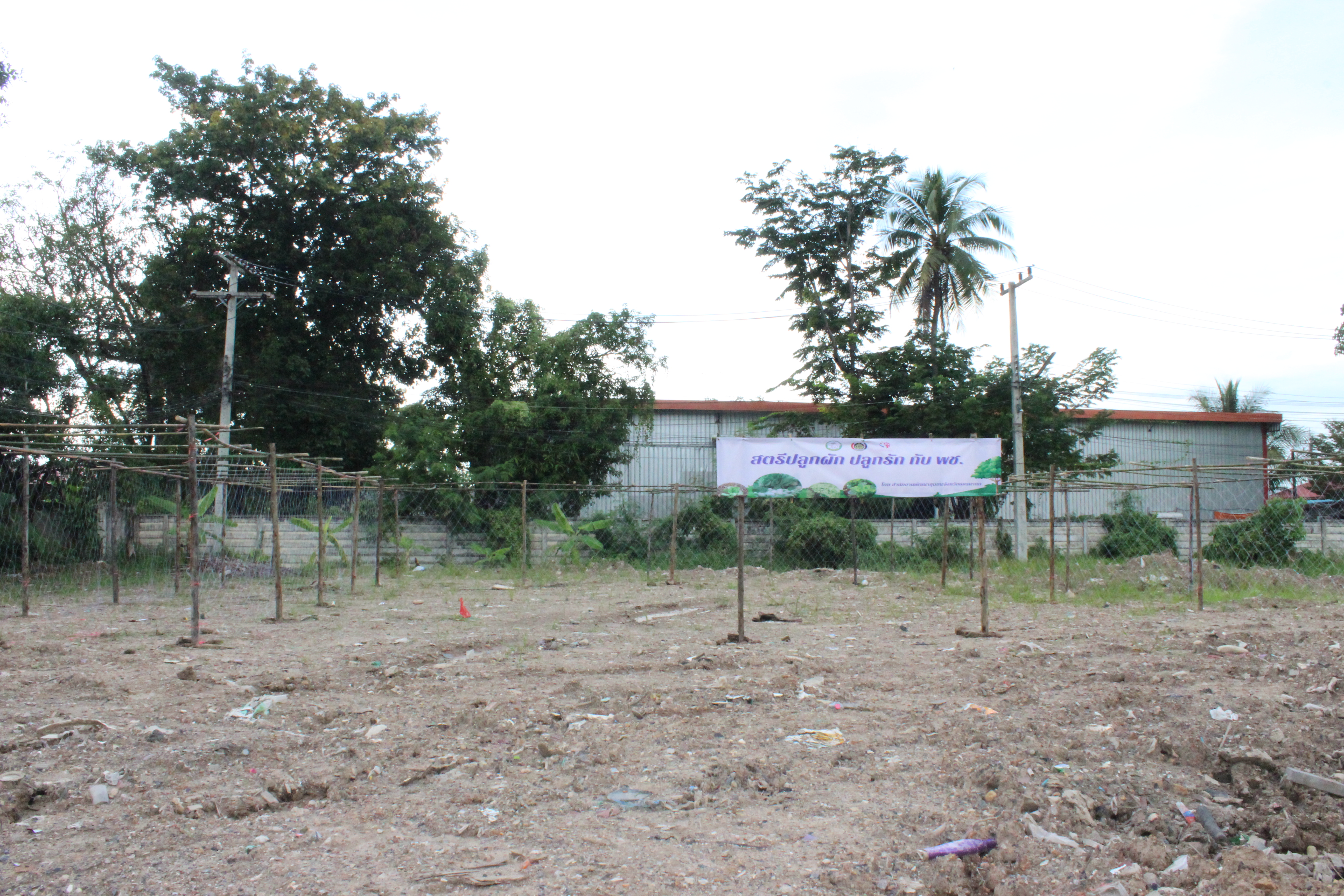 …พช.นครนายก ร่วมกิจกรรมเตรียมแปลง “สตรีปลูกผัก ปลูกรัก กับ พช.”