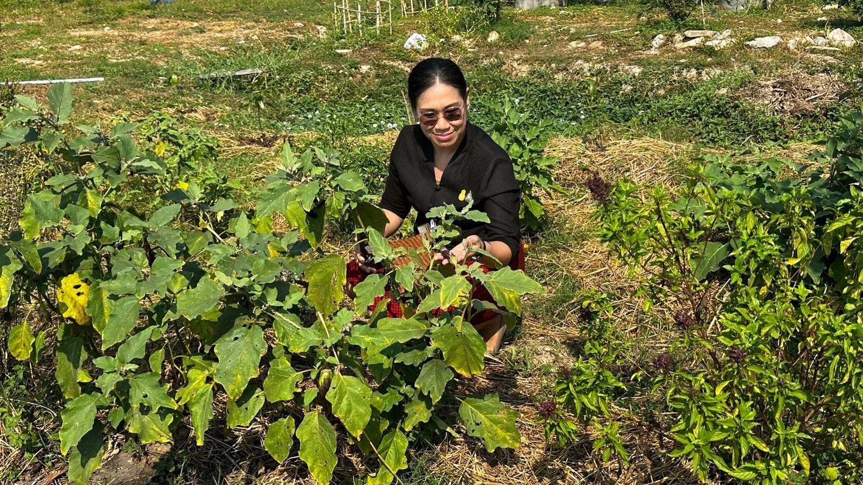 …พช.นครนายก รวมพลังขับเคลื่อนองค์กรคุณธรรม “ปลูกด้วยรัก ผักสีเขียว”