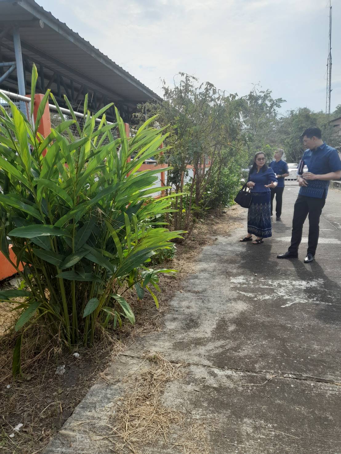 …พช.นครนายก เยี่ยมชมกิจกรรม 1 อำเภอ 1 กิจกรรมปันสุข ปลูกผักแบ่งปัน