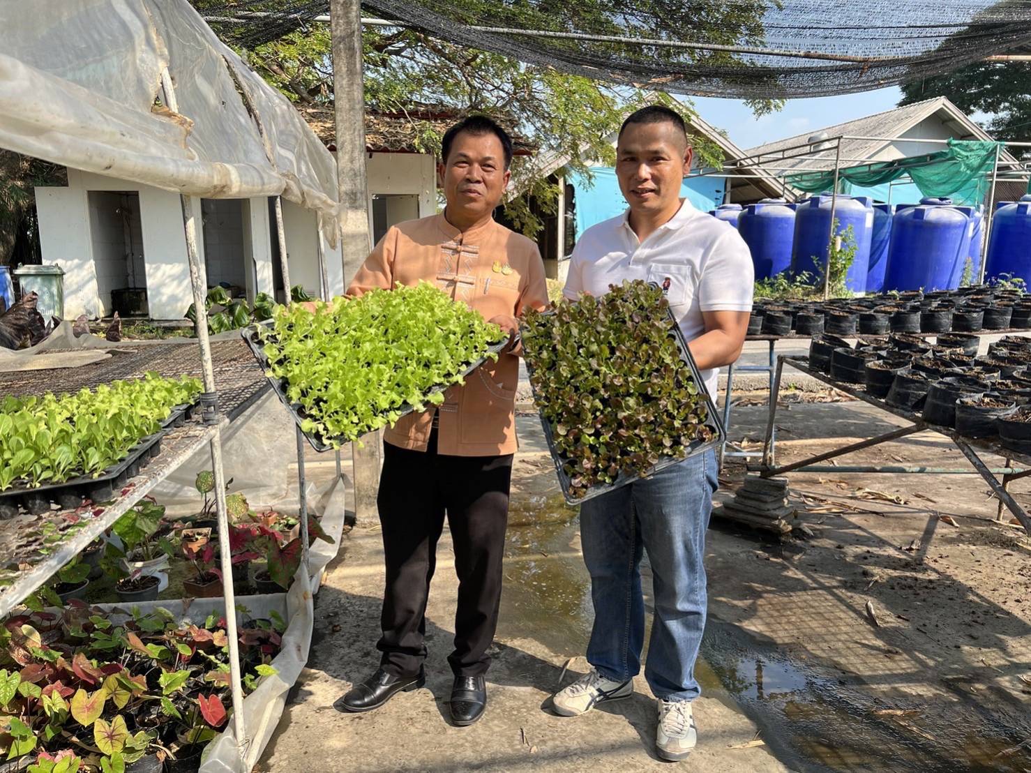 …พช.นครนายก เดินหน้าขับเคลื่อนปฏิบัติการปลูกผักสวนครัว เพื่อสร้างความมั่นคงทางอาหาร ปี 2567