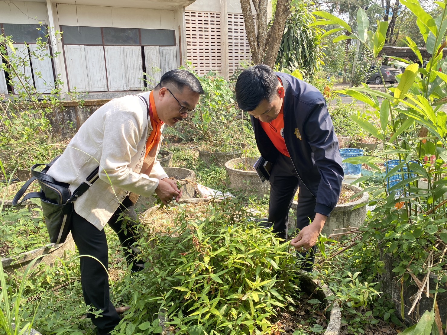 … พช. นครนายก ดำเนินการนิเทศ ติดตาม และสนับสนุน การดำเนินงานตามนโยบาย กระทรวงมหาดไทยและแผนการปฏิบัติราชการกรมการพัฒนาชุมชน ประจำปีงบประมาณ