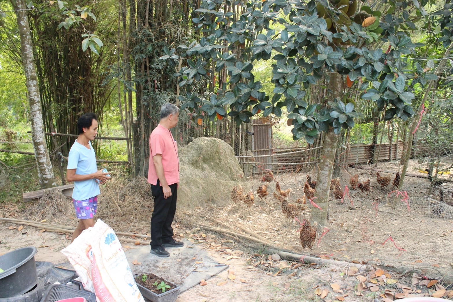 …พช.นครนายก ลงพื้นที่ติดตามครัวเรือนเป้าหมายโครงการพัฒนาคุณภาพด้านการศึกษาและเพิ่มทักษะการประกอบอาชีพ ประจำปี พ.ศ.2566 และโครงการพื้นที่ว่างสร้างอาหาร 30 ตารางวาโมเดล พื้นที่ตำบลโคกกรวด