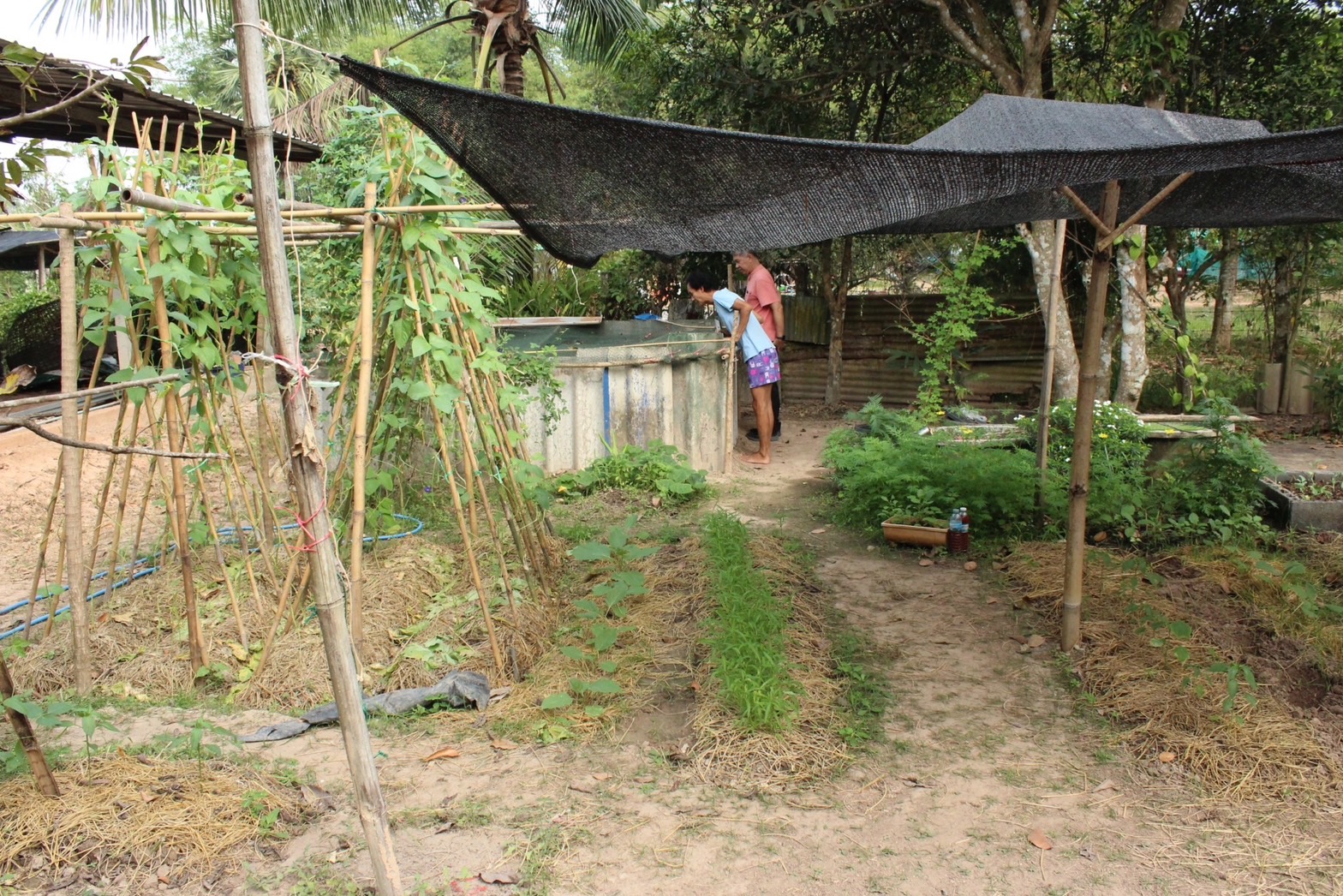 …พช.นครนายก ลงพื้นที่ติดตามครัวเรือนเป้าหมายโครงการพัฒนาคุณภาพด้านการศึกษาและเพิ่มทักษะการประกอบอาชีพ ประจำปี พ.ศ.2566 และโครงการพื้นที่ว่างสร้างอาหาร 30 ตารางวาโมเดล พื้นที่ตำบลโคกกรวด