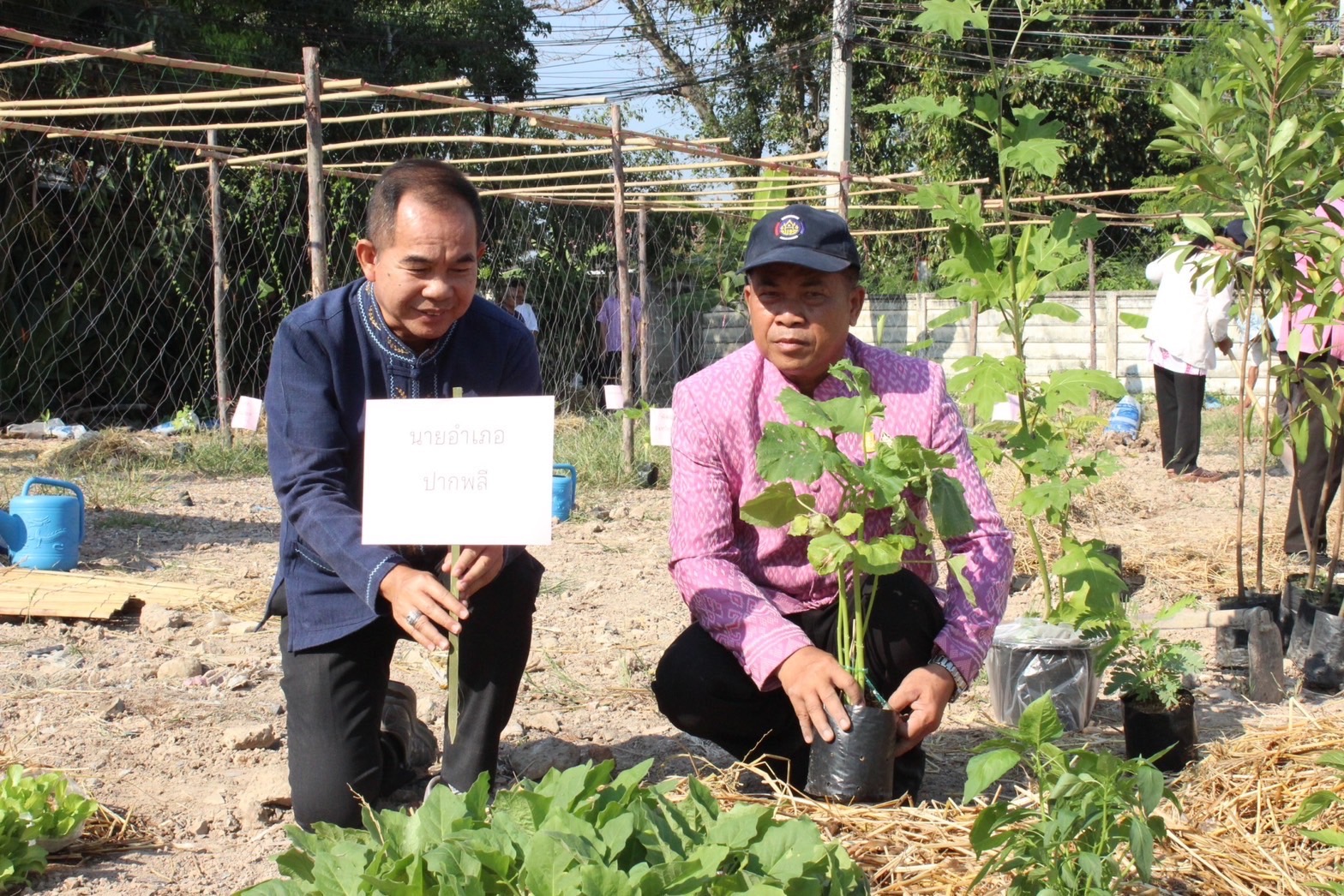 …พช.นครนายก จัดกิจกรรมโครงการ “สตรีแบ่งสรร ปันรัก ปลูกพืช ปลูกผัก ปลูกรัก กับ พช.”