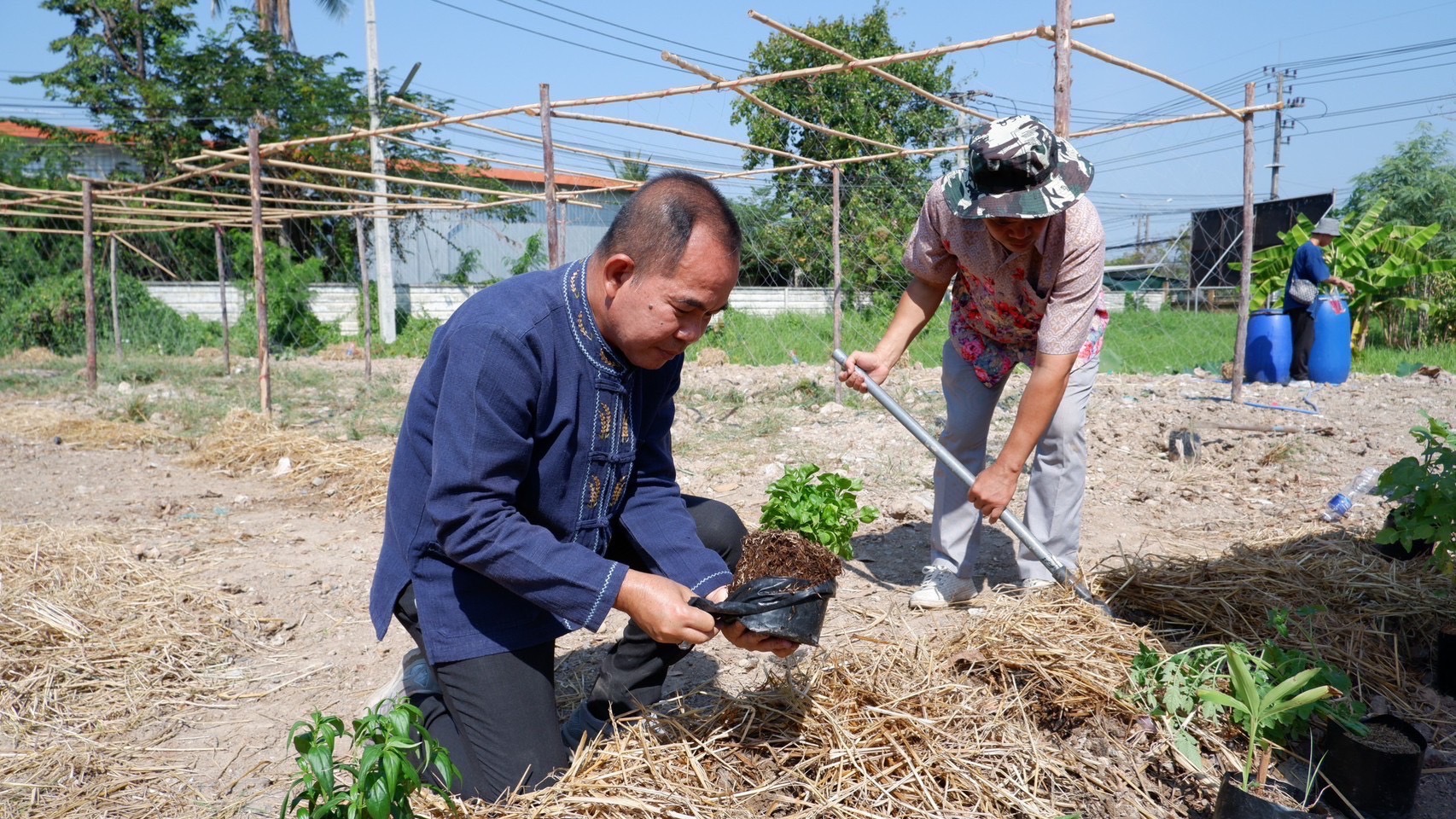 …พช.นครนายก จัดกิจกรรมโครงการ “สตรีแบ่งสรร ปันรัก ปลูกพืช ปลูกผัก ปลูกรัก กับ พช.”
