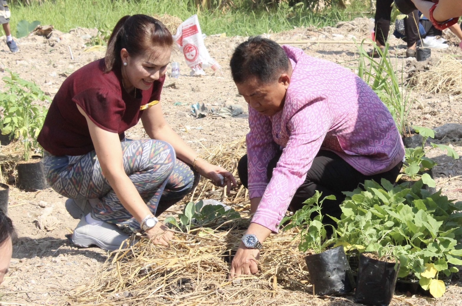…พช.นครนายก จัดกิจกรรมโครงการ “สตรีแบ่งสรร ปันรัก ปลูกพืช ปลูกผัก ปลูกรัก กับ พช.”