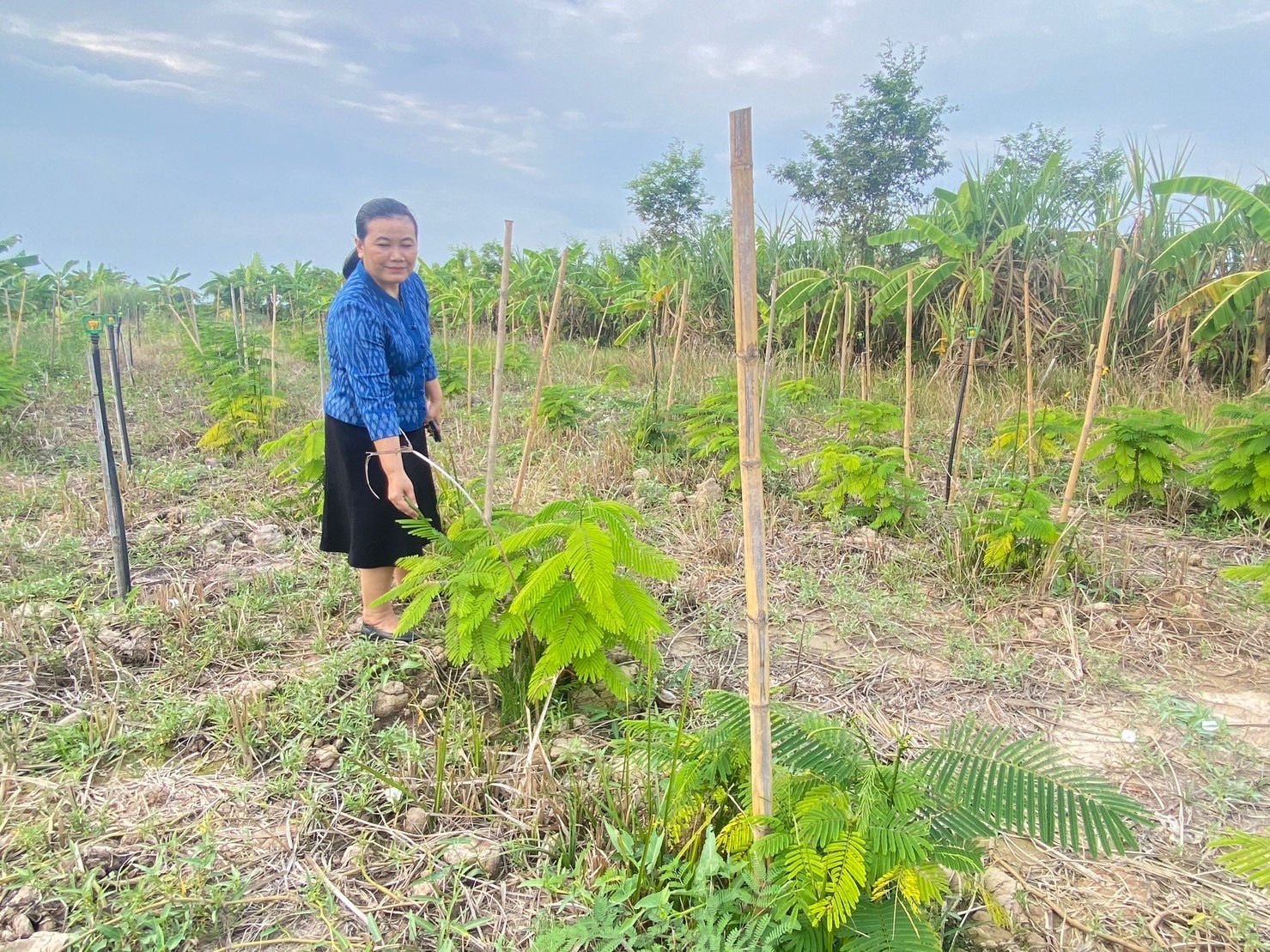 …พช.นครนายก สนับสนุนการขับเคลื่อนแหล่งเรียนรู้“โคก หนอง นาโมเดล”