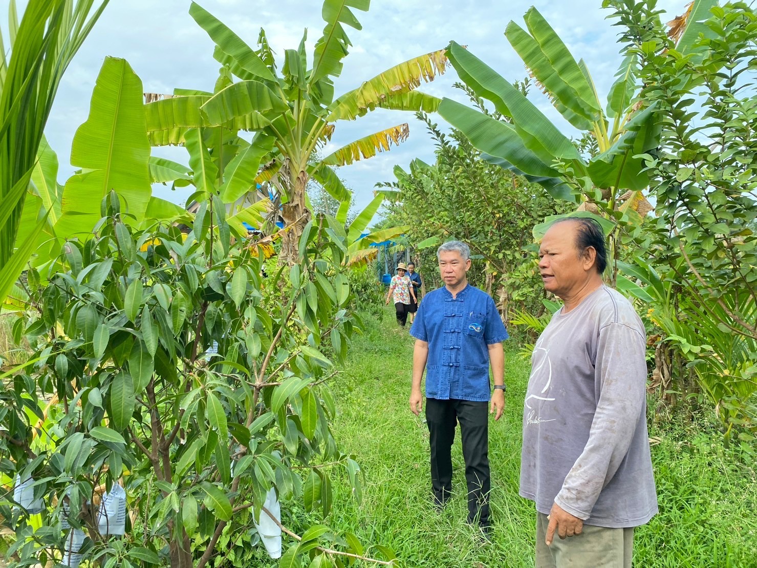 …พช.นครนายก สนับสนุนการขับเคลื่อนแหล่งเรียนรู้“โคก หนอง นาโมเดล”