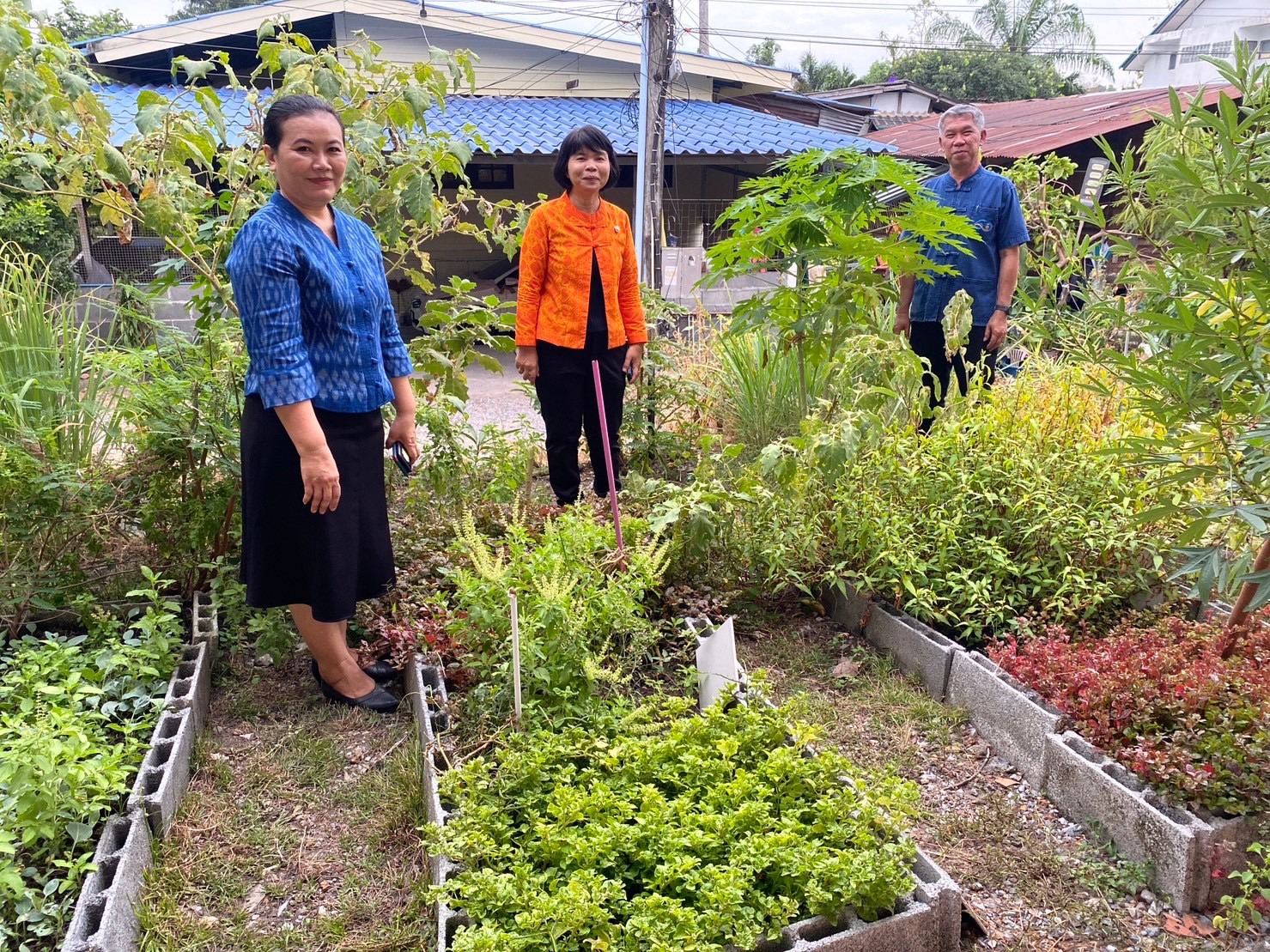 …พช.นครนายก เยี่ยมชมกิจกรรม 1 อำเภอ 1 กิจกรรมปันสุข ปลูกผักแบ่งปัน