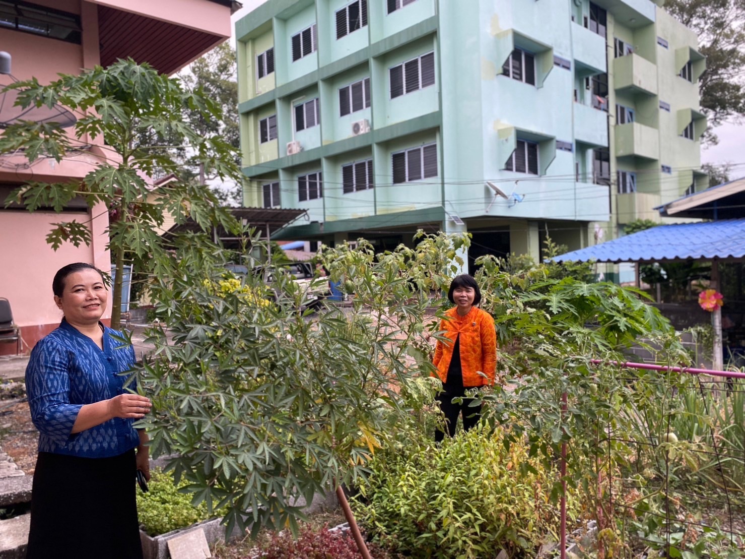 …พช.นครนายก เยี่ยมชมกิจกรรม 1 อำเภอ 1 กิจกรรมปันสุข ปลูกผักแบ่งปัน