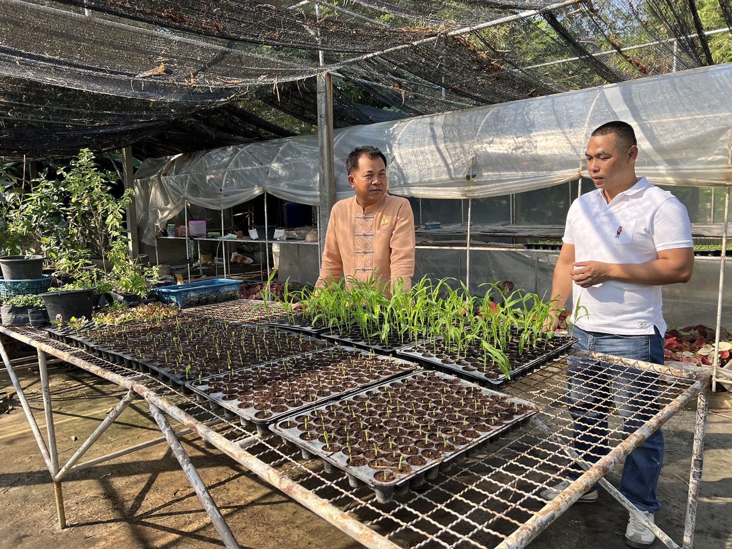 …พช.นครนายก เดินหน้าขับเคลื่อนปฏิบัติการปลูกผักสวนครัว เพื่อสร้างความมั่นคงทางอาหาร ปี 2567