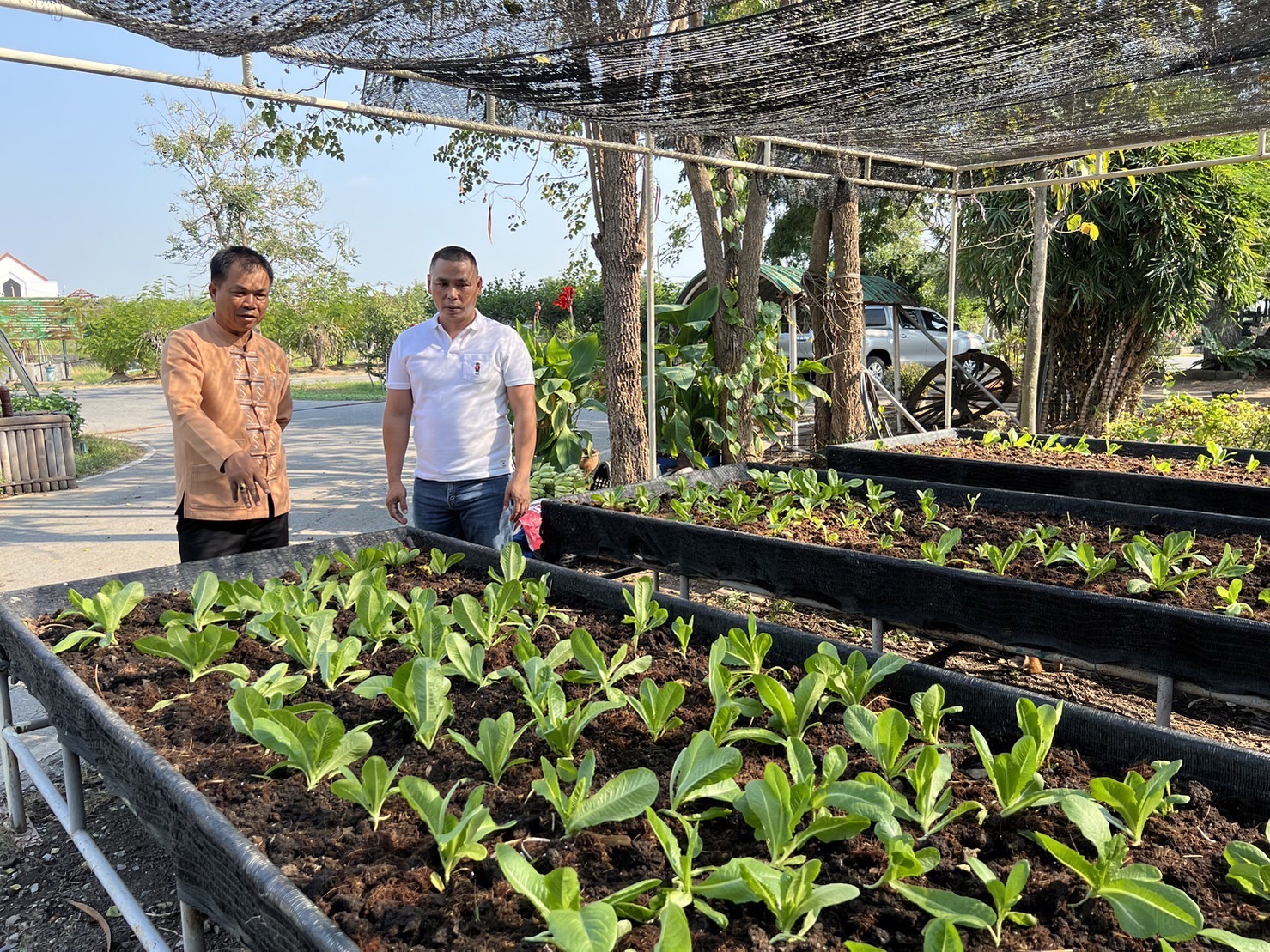 …พช.นครนายก เดินหน้าขับเคลื่อนปฏิบัติการปลูกผักสวนครัว เพื่อสร้างความมั่นคงทางอาหาร ปี 2567