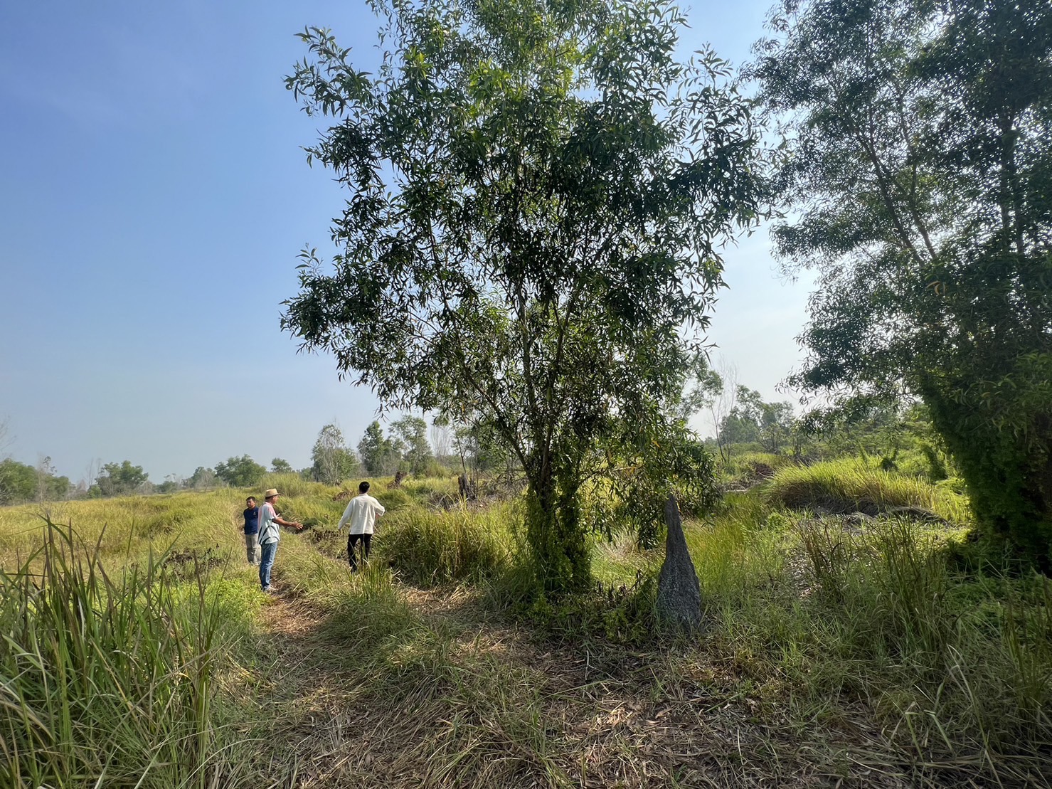 พช.นครนายก ร่วมสำรวจพื้นที่โครงการต่อยอดพื้นที่ทฤษฎีใหม่เพื่อพัฒนาคุณภาพชีวิตและยกระดับเศรษฐกิจฐานรากด้วยโมเดลเศรษฐกิจใหม่