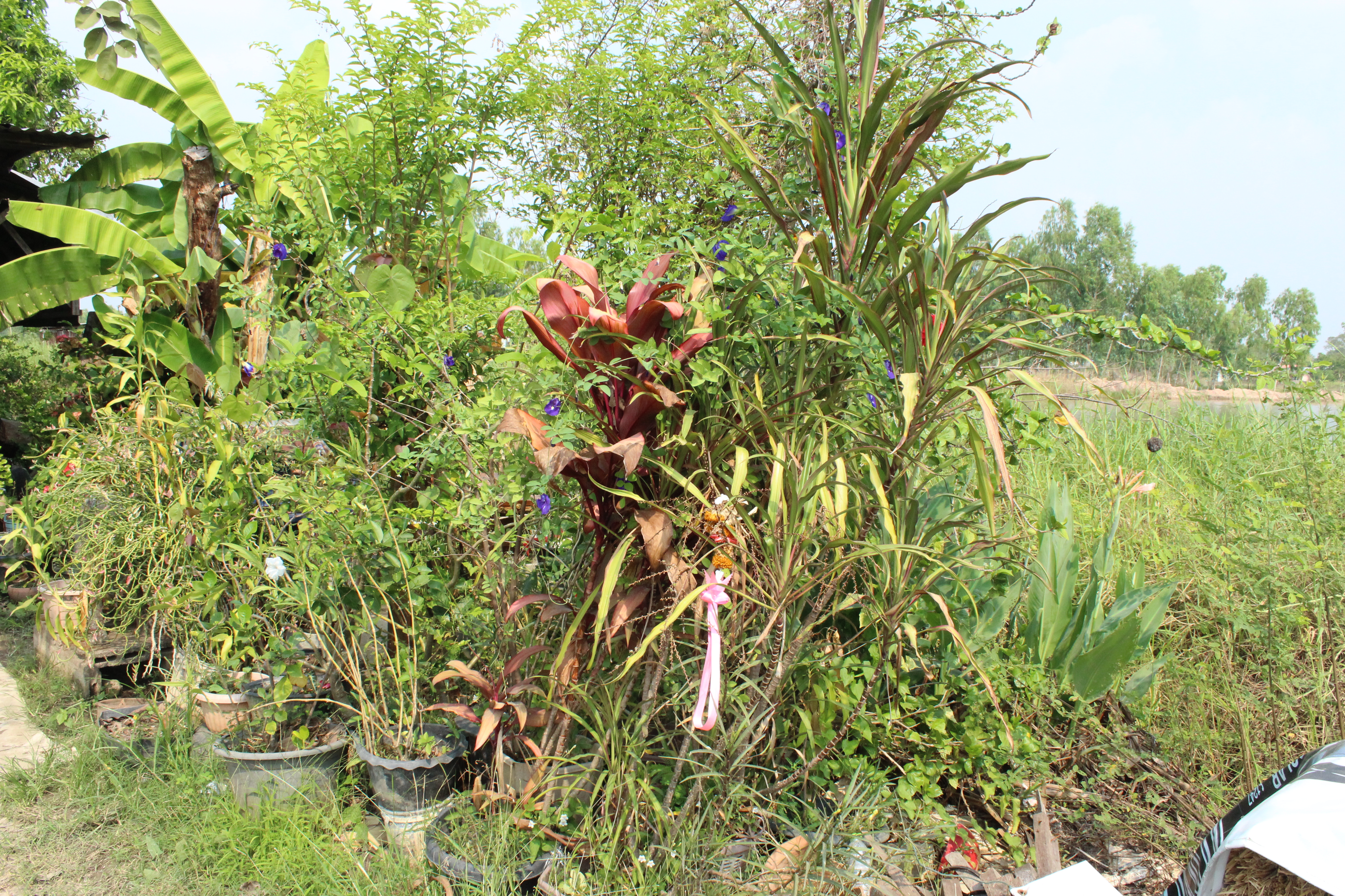 …พช.นครนายก ลงพื้นที่ร่วมกับ พช.เมืองนครนายกเยี่ยมเยียนครัวเรือนในระบบ TPMAP พื้นที่ตำบลบ้านใหญ่