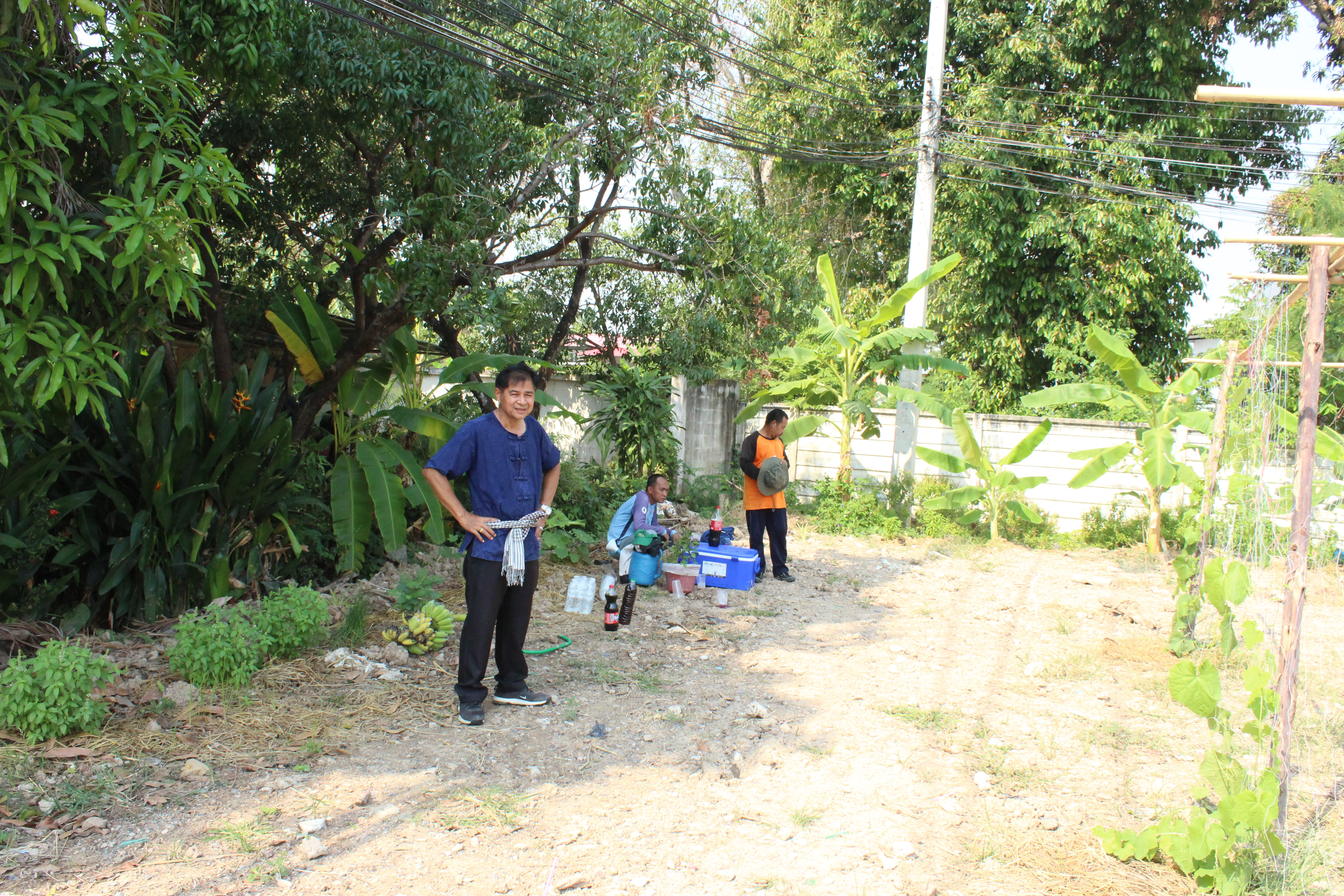 ..พช.นครนายก : ผอ.ศูนย์ศึกษาและพัฒนาชุมชนนครนายก ร่วมปรับปรุงภูมิทัศน์แปลง “จุดเรียนรู้เศรษฐกิจพอเพียง 30 ตารางวา โมเดล” และแปลง “สตรีปลูกผัก ปลูกรัก กับ พช.”