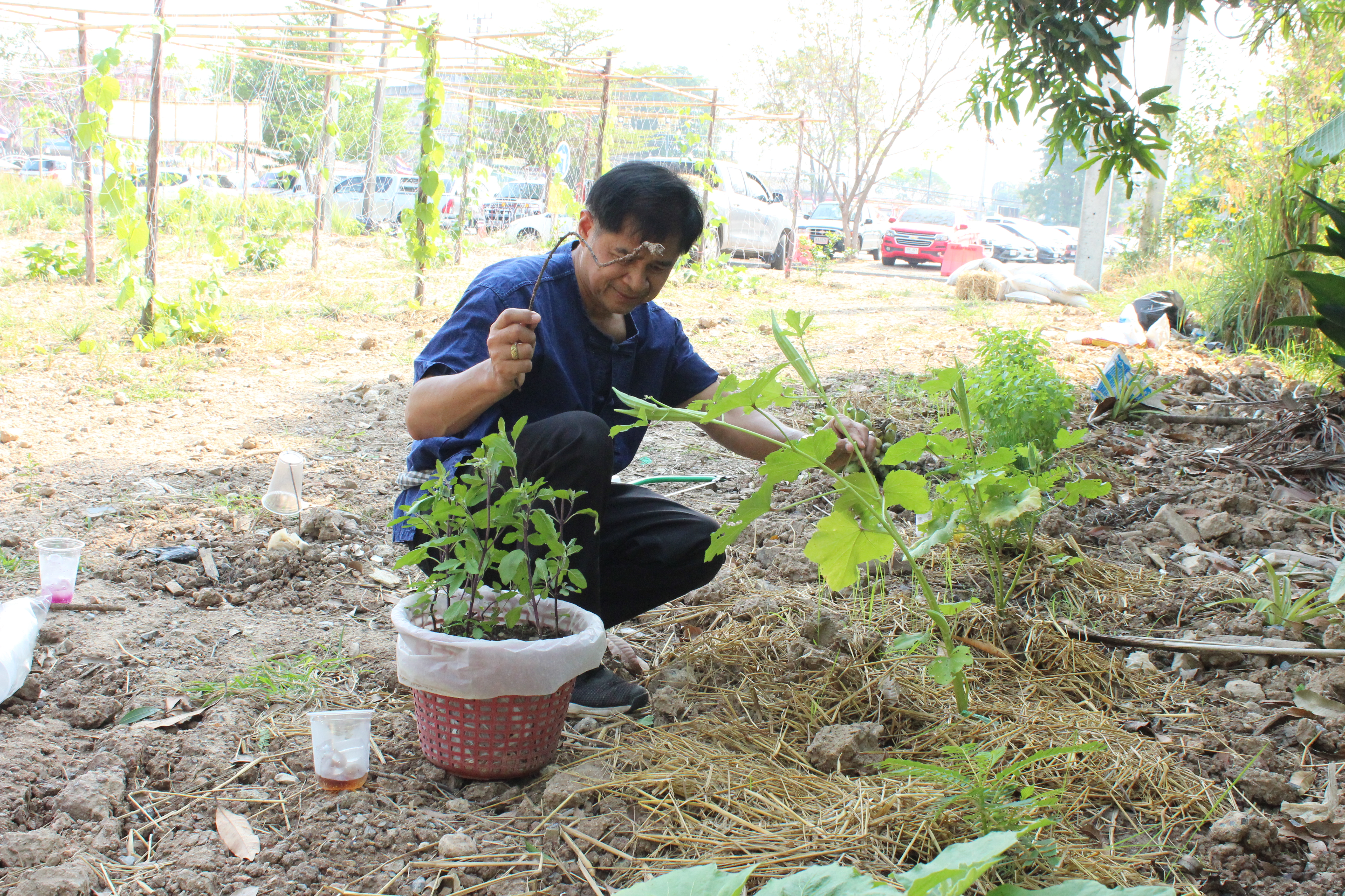 ..พช.นครนายก : ผอ.ศูนย์ศึกษาและพัฒนาชุมชนนครนายก ร่วมปรับปรุงภูมิทัศน์แปลง “จุดเรียนรู้เศรษฐกิจพอเพียง 30 ตารางวา โมเดล” และแปลง “สตรีปลูกผัก ปลูกรัก กับ พช.”
