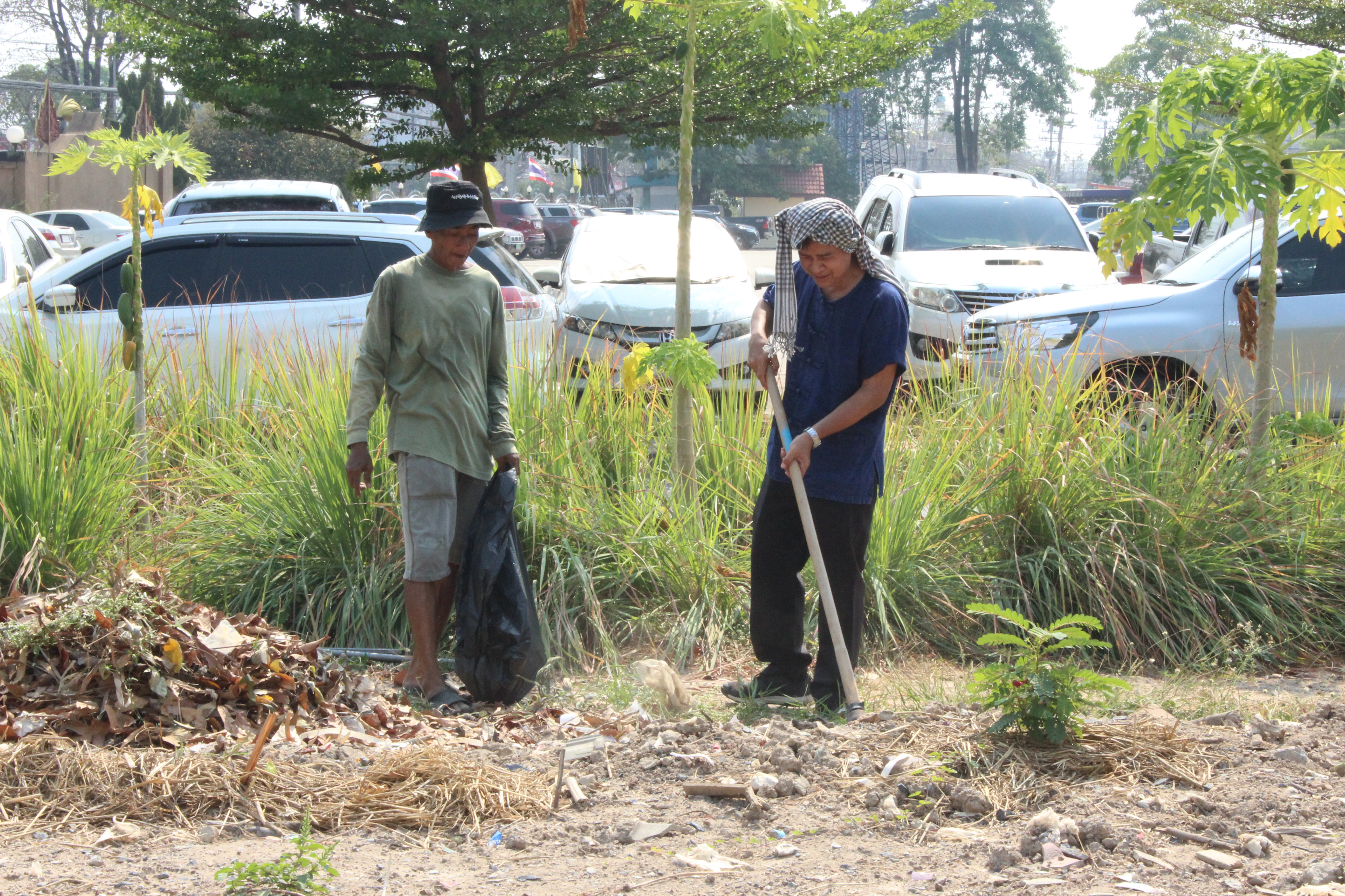 ..พช.นครนายก : ผอ.ศูนย์ศึกษาและพัฒนาชุมชนนครนายก ร่วมปรับปรุงภูมิทัศน์แปลง “จุดเรียนรู้เศรษฐกิจพอเพียง 30 ตารางวา โมเดล” และแปลง “สตรีปลูกผัก ปลูกรัก กับ พช.”