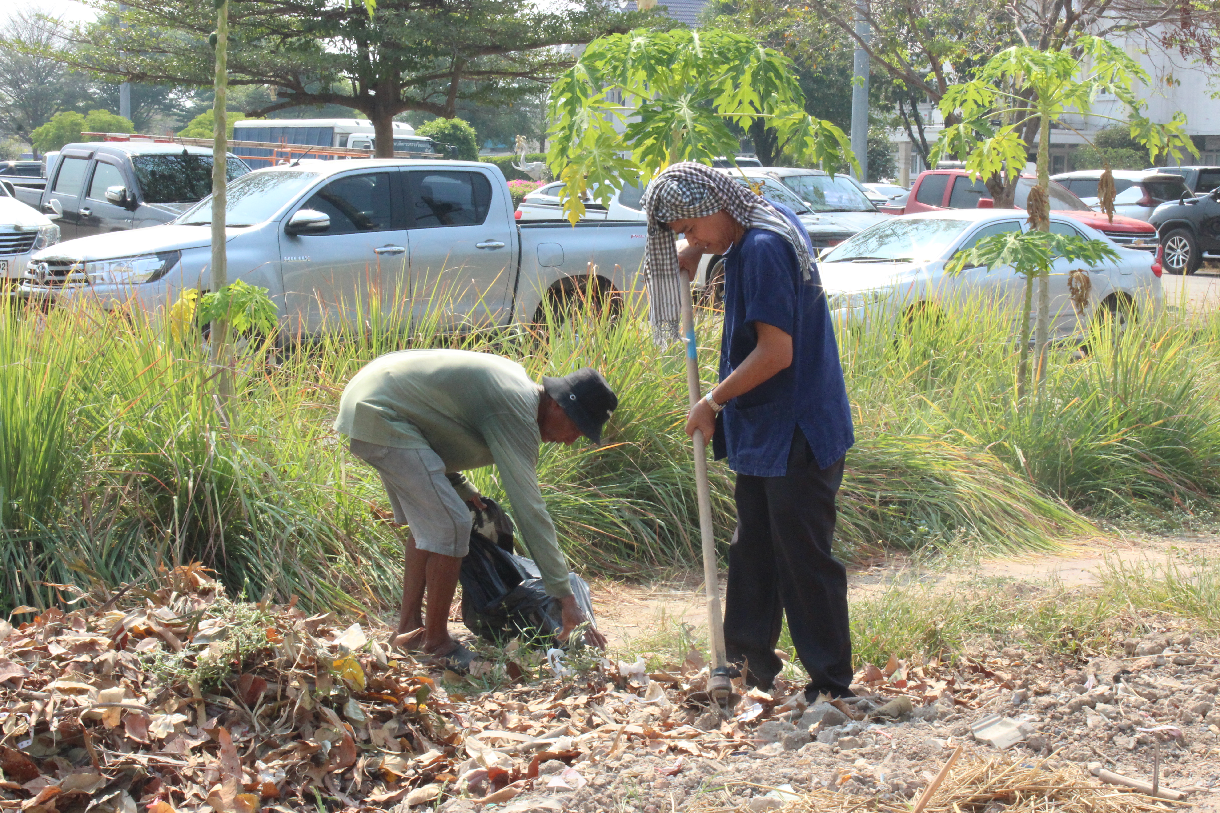 ..พช.นครนายก : ผอ.ศูนย์ศึกษาและพัฒนาชุมชนนครนายก ร่วมปรับปรุงภูมิทัศน์แปลง “จุดเรียนรู้เศรษฐกิจพอเพียง 30 ตารางวา โมเดล” และแปลง “สตรีปลูกผัก ปลูกรัก กับ พช.”