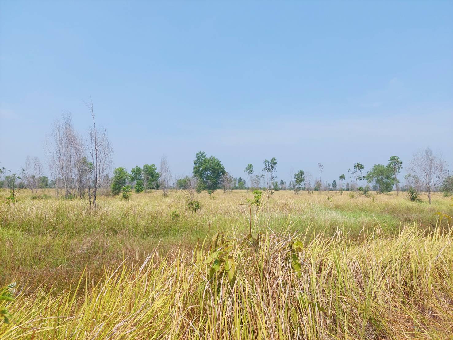 …พช.นครนายก รับการตรวจติดตามการดำเนินงานการขับเคลื่อนงานตามยุทธศาสตร์กรมการพัฒนาชุมชน ประจำปีงบประมาณ พ.ศ.2567