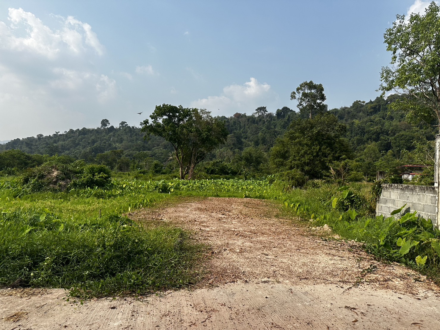 …พช.นครนายก ลงพื้นที่เตรียมความพร้อมโครงการบ้านห่วงใยจากใจ GLO ประจำปี 2566