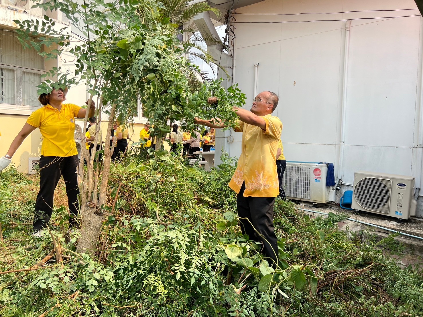 …พช.นครนายก ร่วมกิจกรรม Big Cleaning Day (Kick – off)