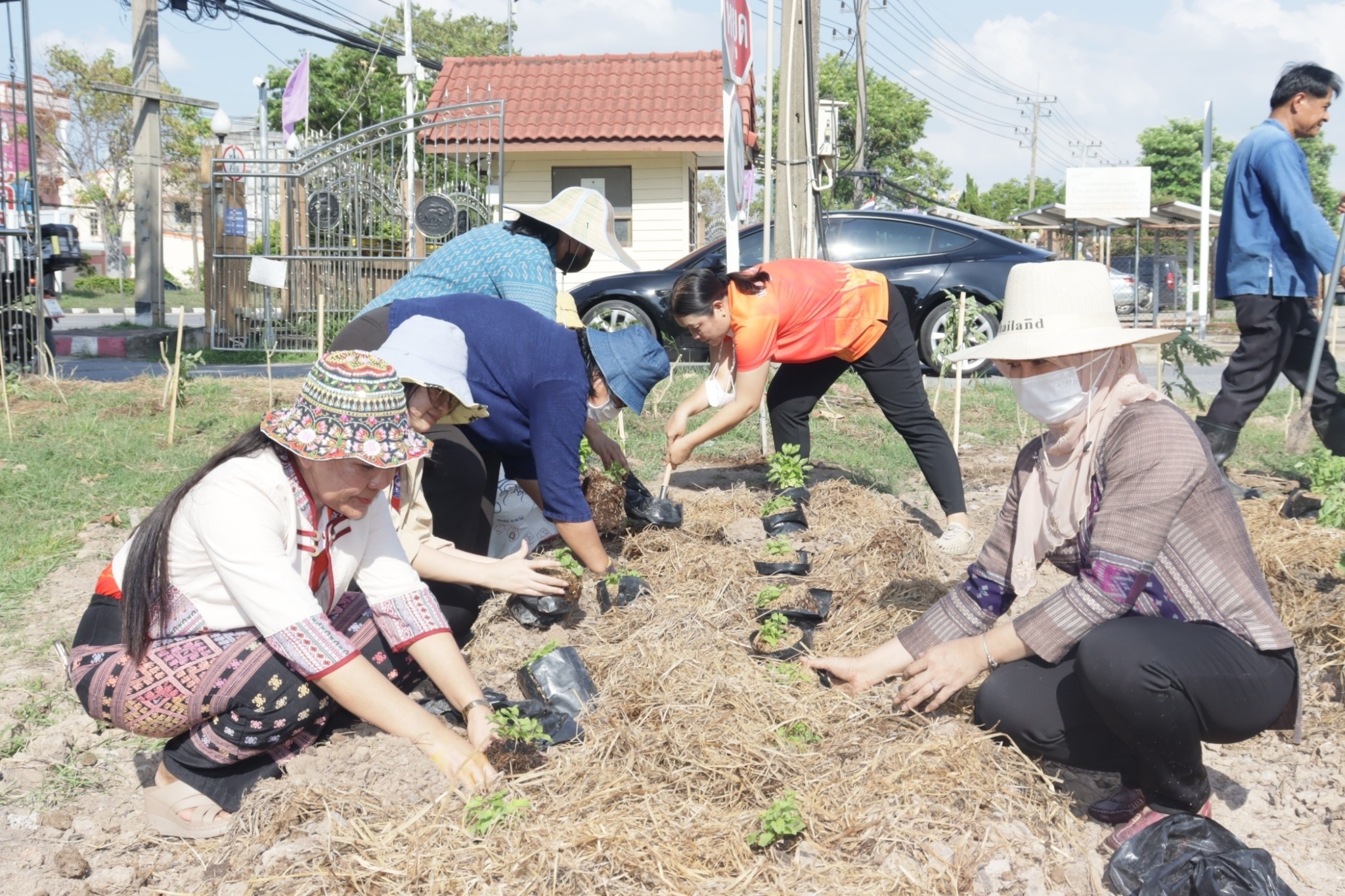 🌷 พช.นครนายก ขับเคลื่อนการน้อมนำแนวพระราชดำริของสมเด็จพระกนิษฐาธิราชเจ้า กรมสมเด็จพระเทพรัตนราชสุดาฯ สยามบรมราชกุมารี สู่ปฏิบัติการปลูกผักสวนครัว เพื่อสร้างความมั่นคงทางอาหาร กิจกรรมผู้นำต้องทำก่อน