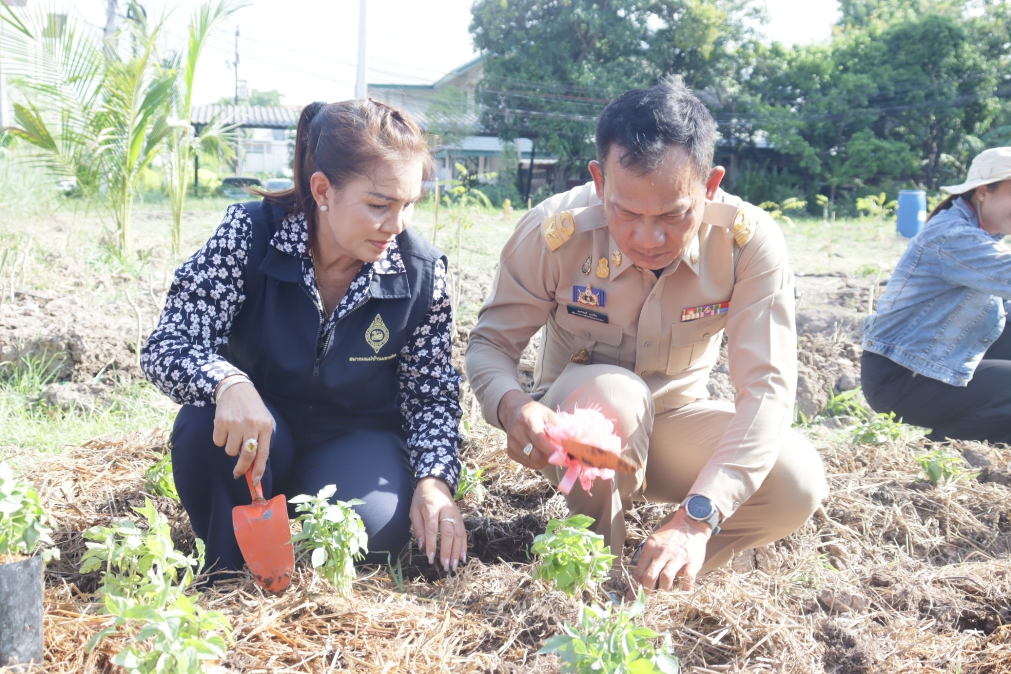 🌷 พช.นครนายก ขับเคลื่อนการน้อมนำแนวพระราชดำริของสมเด็จพระกนิษฐาธิราชเจ้า กรมสมเด็จพระเทพรัตนราชสุดาฯ สยามบรมราชกุมารี สู่ปฏิบัติการปลูกผักสวนครัว เพื่อสร้างความมั่นคงทางอาหาร กิจกรรมผู้นำต้องทำก่อน