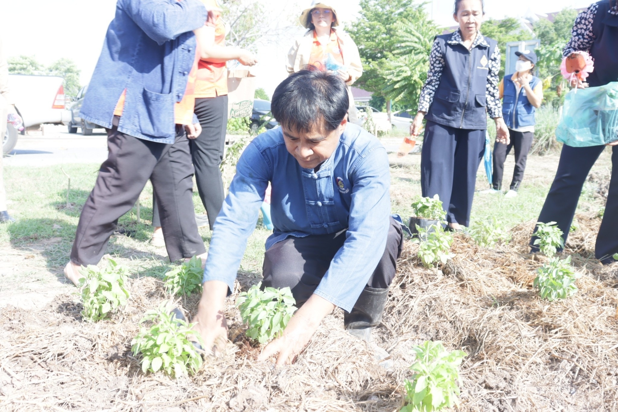 🌷 พช.นครนายก ขับเคลื่อนการน้อมนำแนวพระราชดำริของสมเด็จพระกนิษฐาธิราชเจ้า กรมสมเด็จพระเทพรัตนราชสุดาฯ สยามบรมราชกุมารี สู่ปฏิบัติการปลูกผักสวนครัว เพื่อสร้างความมั่นคงทางอาหาร กิจกรรมผู้นำต้องทำก่อน