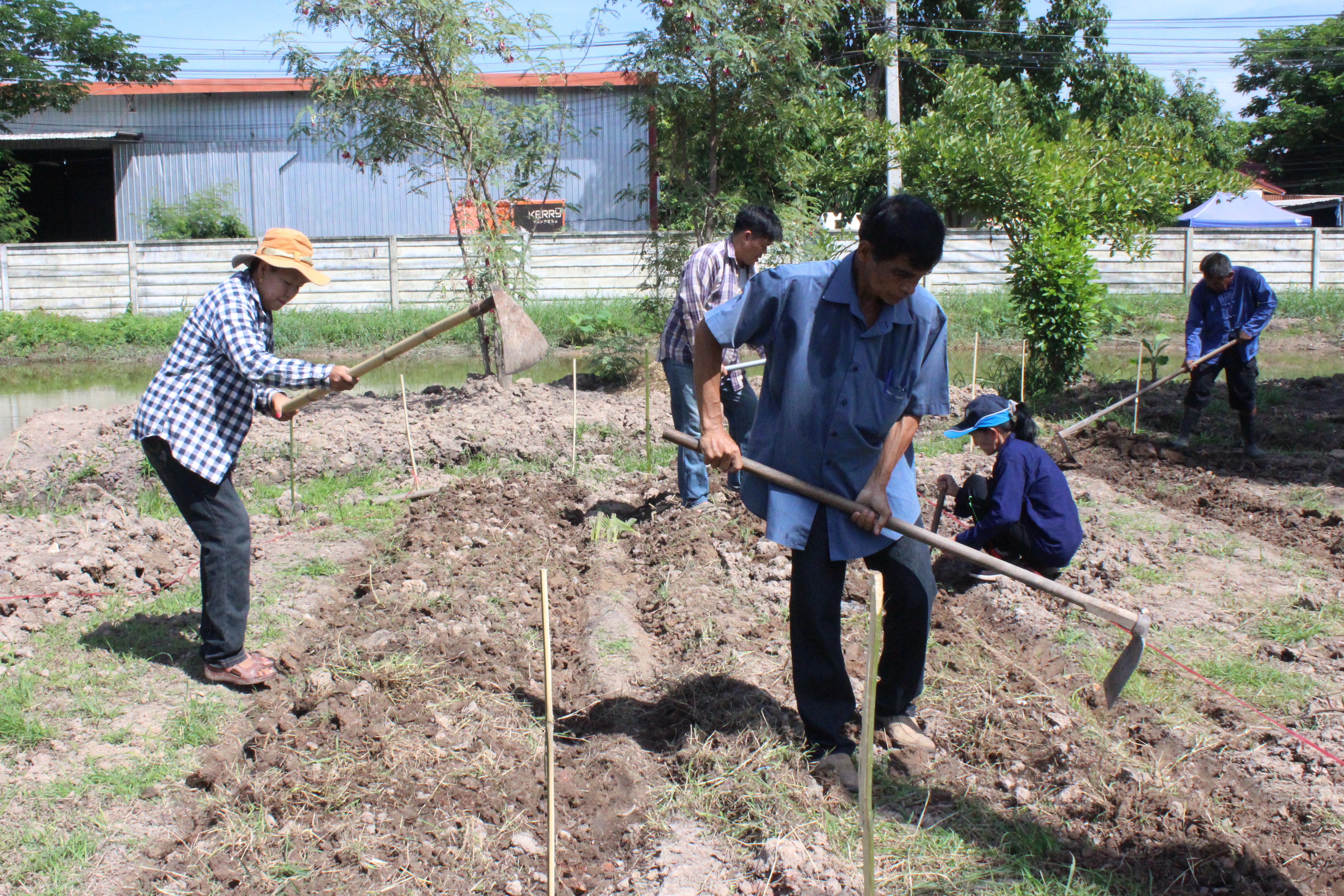 …พช.นครนายกพร้อมผู้นำชุมชน ร่วมปรับพื้นที่ที่รับผิดชอบตามโครงการนครนายกเมือง (สะอาด) น่าอยู่