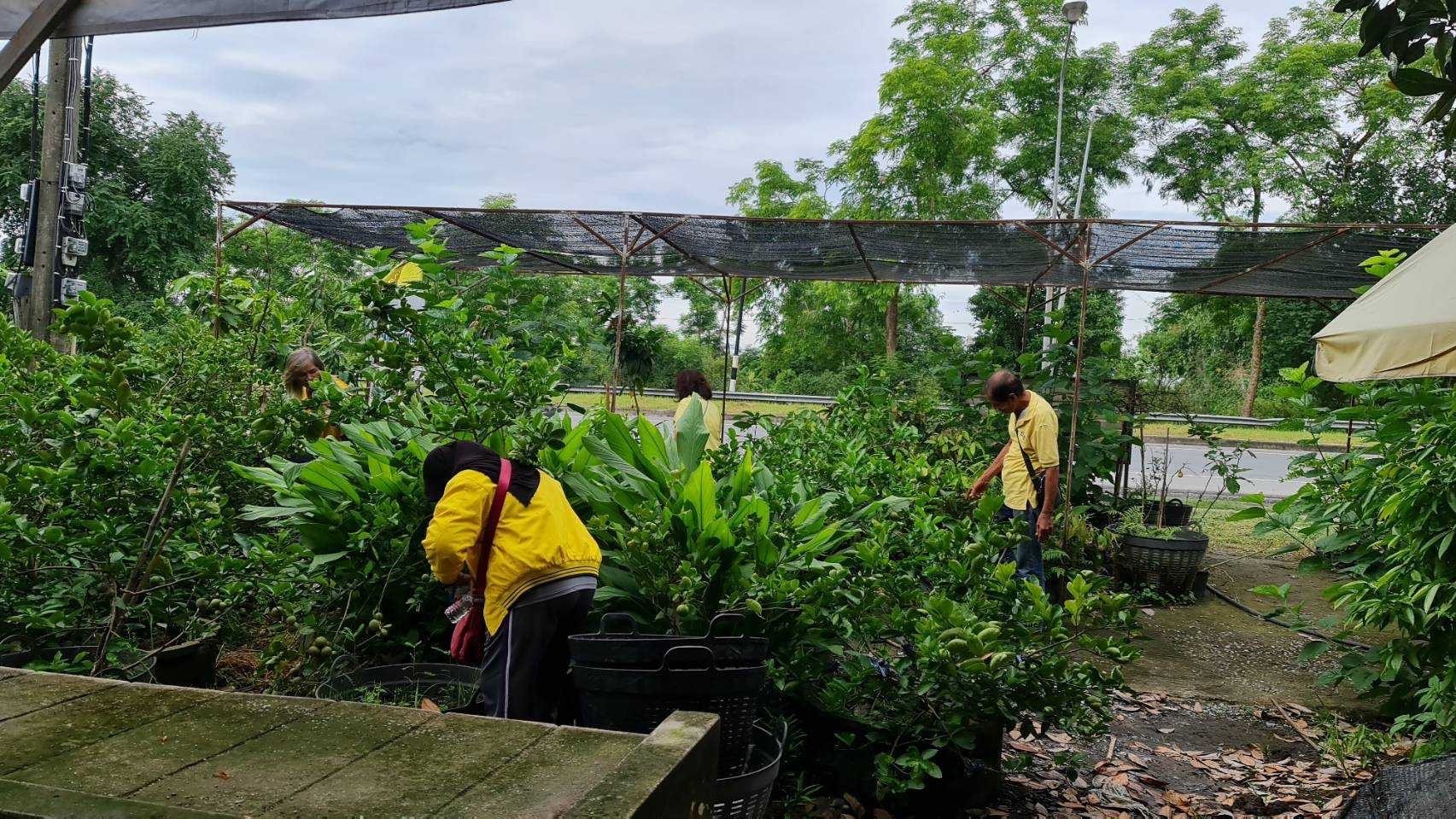 …พช.องครักษ์ ดำเนินการประชุมวางแผนในการสนับสนุนการขับเคลื่อนดำเนินงานการขจัดความยากจนและพัฒนาคนทุกช่วงวัยอย่างยั่งยืนตามหลักปรัชญาของเศรษฐกิจพอเพียง อำเภอองครักษ์