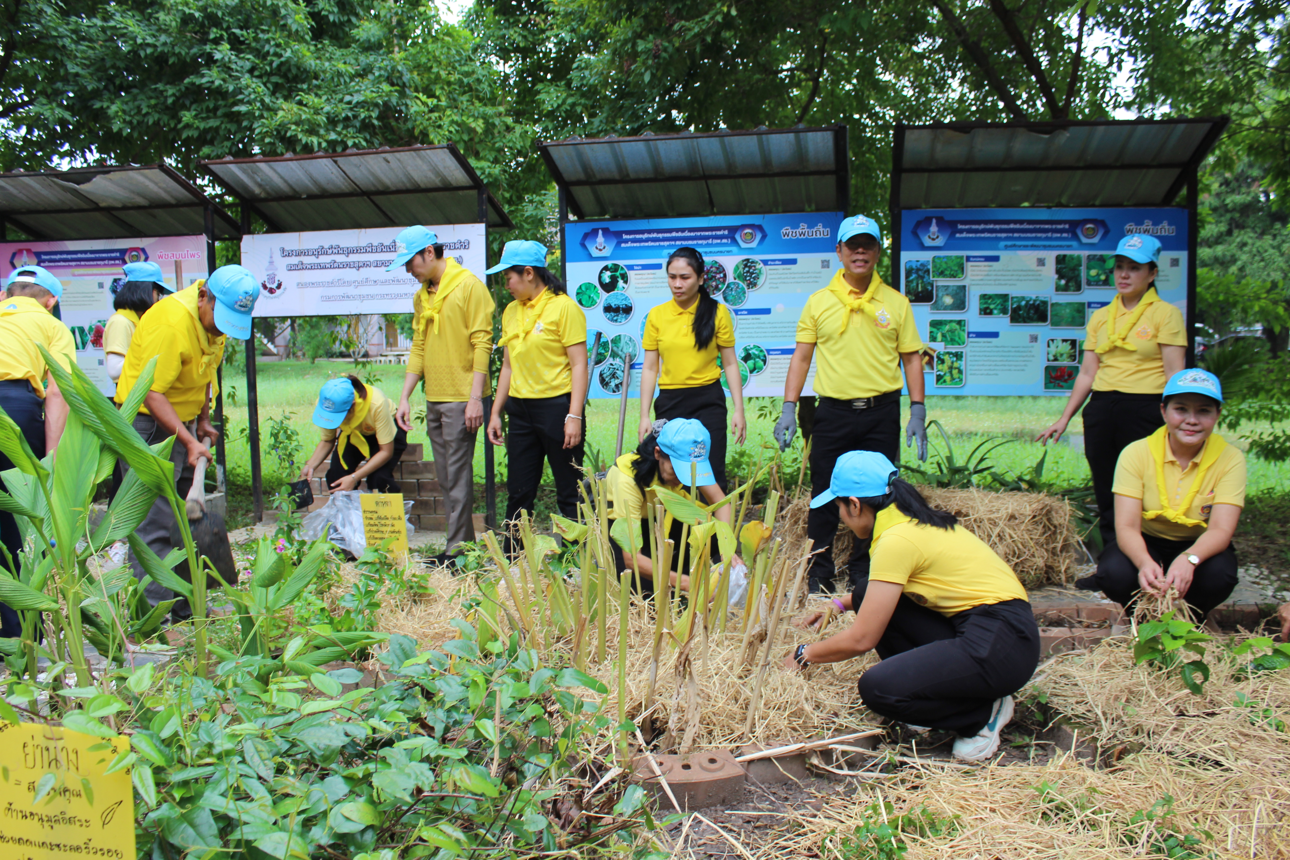 …พช.นครนายก เข้าร่วมโครงการจิตอาสาพระราชทาน “พช.ทำความดีด้วยหัวใจ เทิดทูนสถาบันหลักของชาติ”