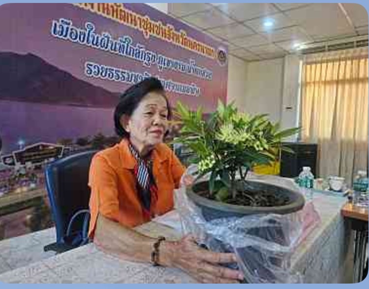 พช.นครนายก ประชุมคณะทำงานขับเคลื่อนกองทุนพัฒนาบทบาทสตรี ครั้งที่ 6/2567