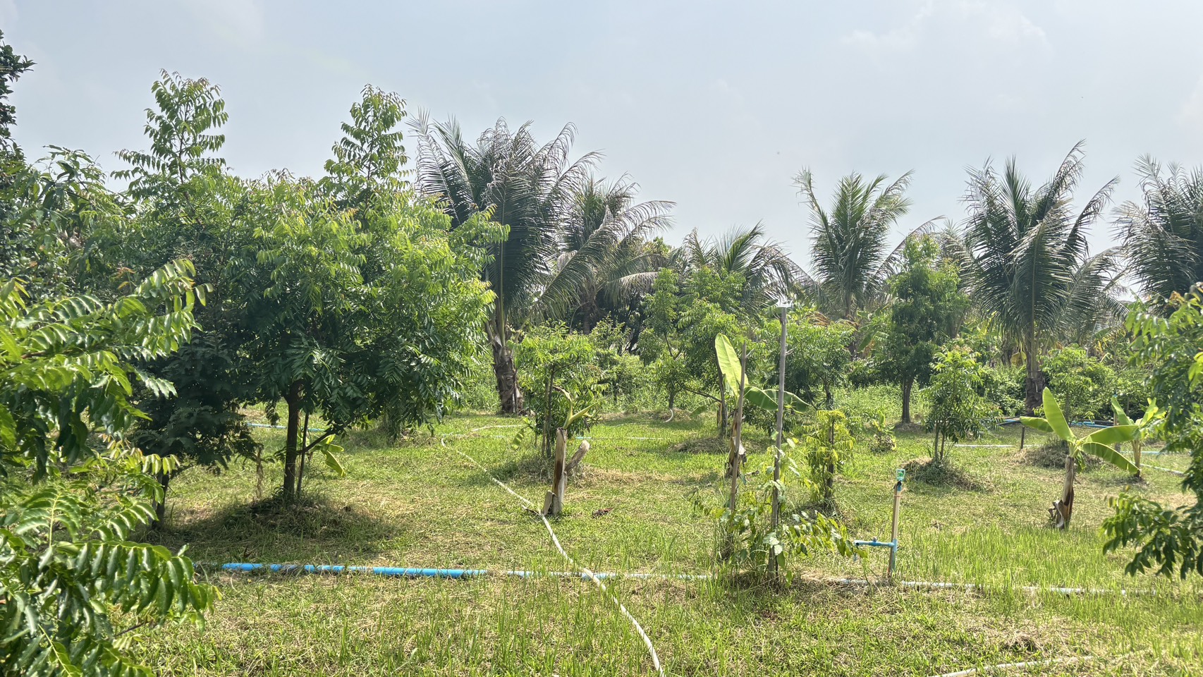 พช.นครนายก ลงพื้นที่เยี่ยมชมการดำเนินงานผลิตภัณฑ์ผ้า Eco print และศูนย์เรียนรู้เศรษฐกิจพอเพียง โคก หนอง นา